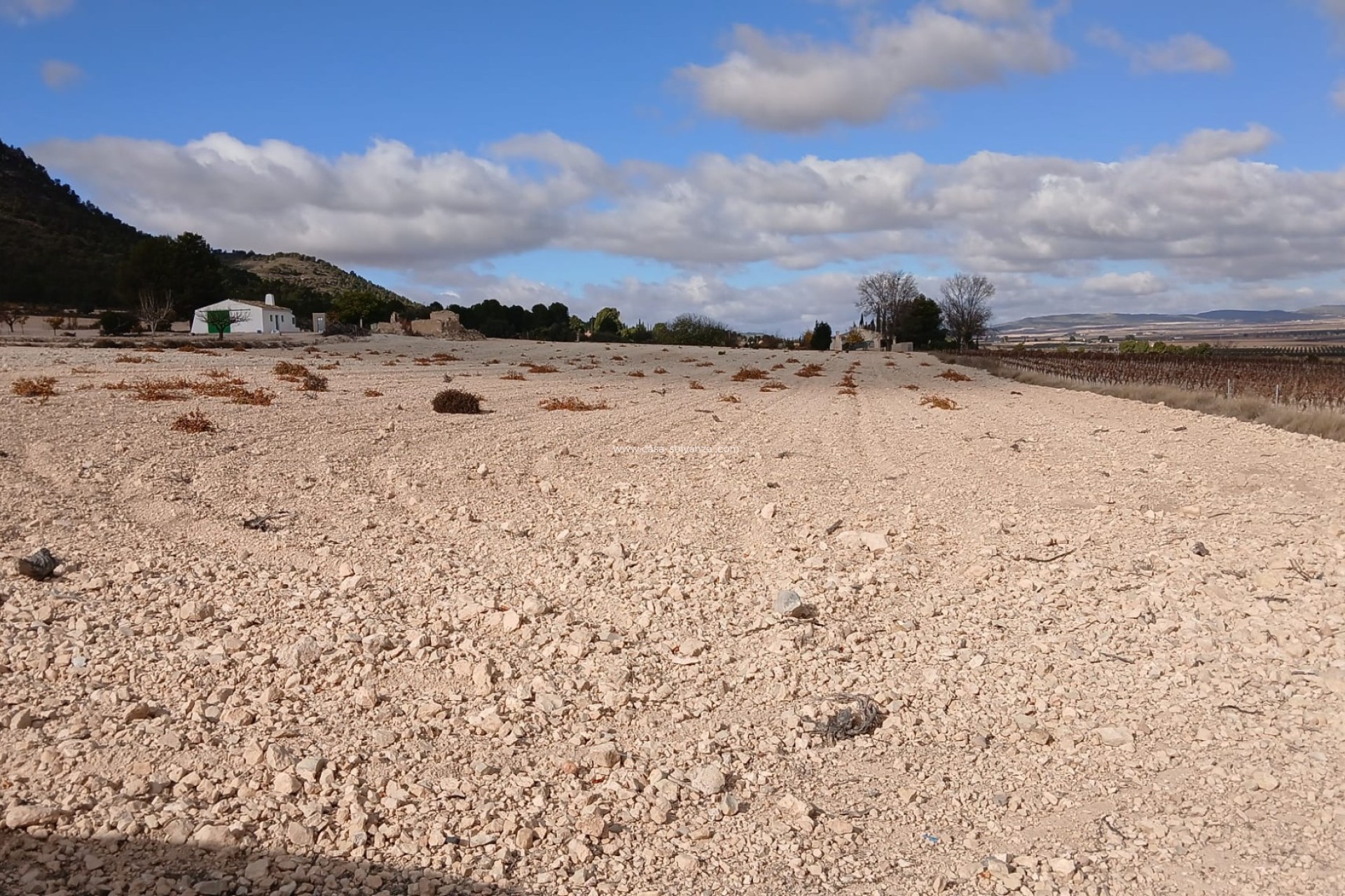 Resale - Land - Yecla - Inland