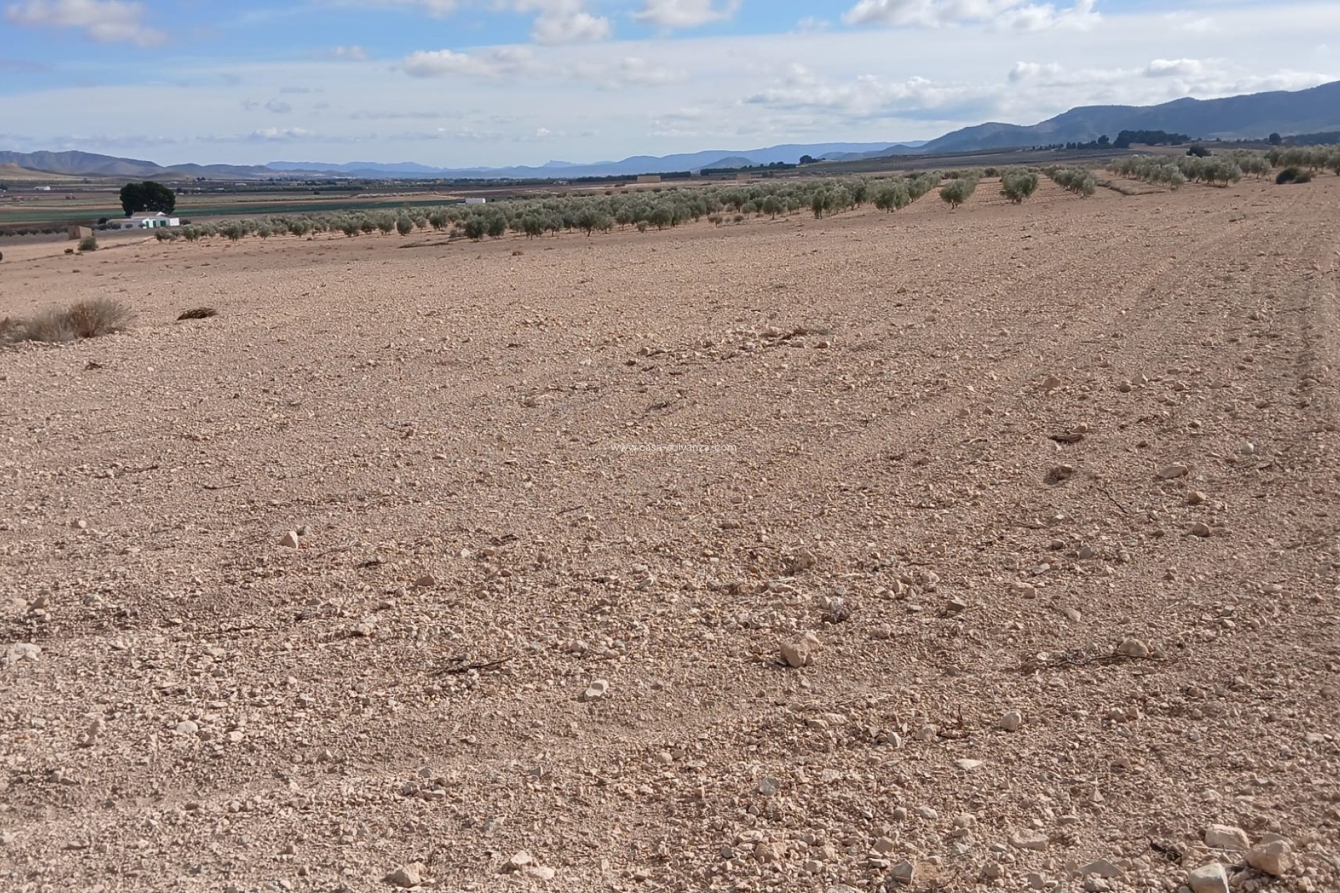 Resale - Land - Yecla - Inland