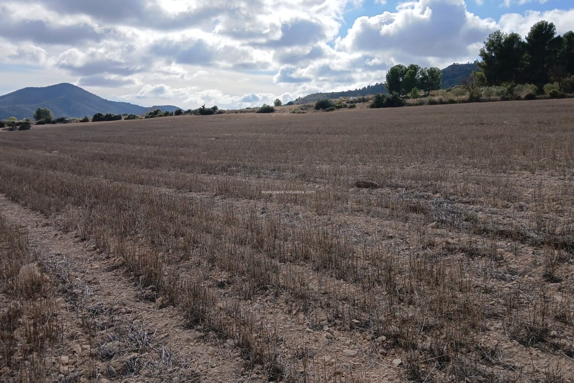 Resale - Land - Yecla - Inland