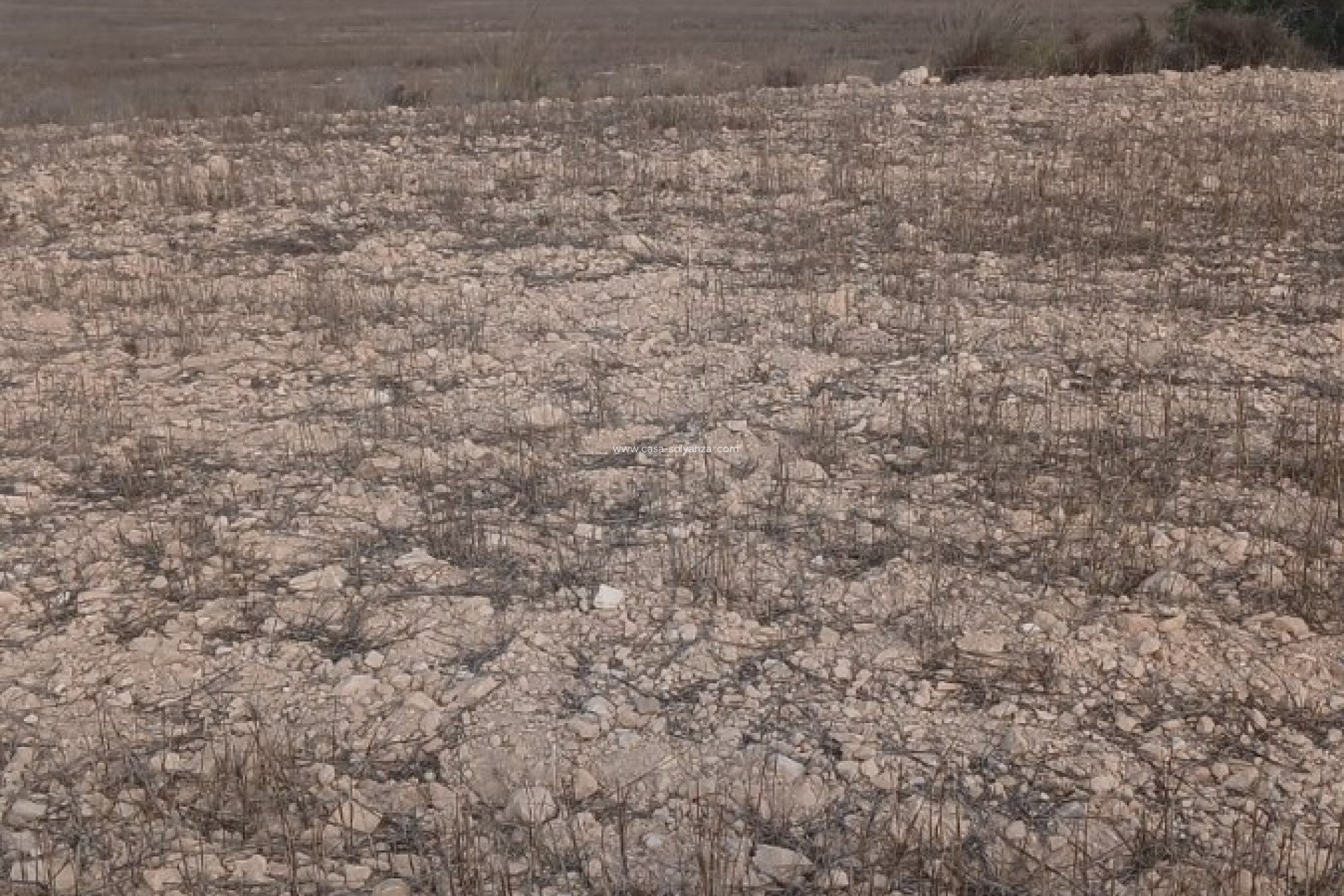 Resale - Land - Yecla - Inland