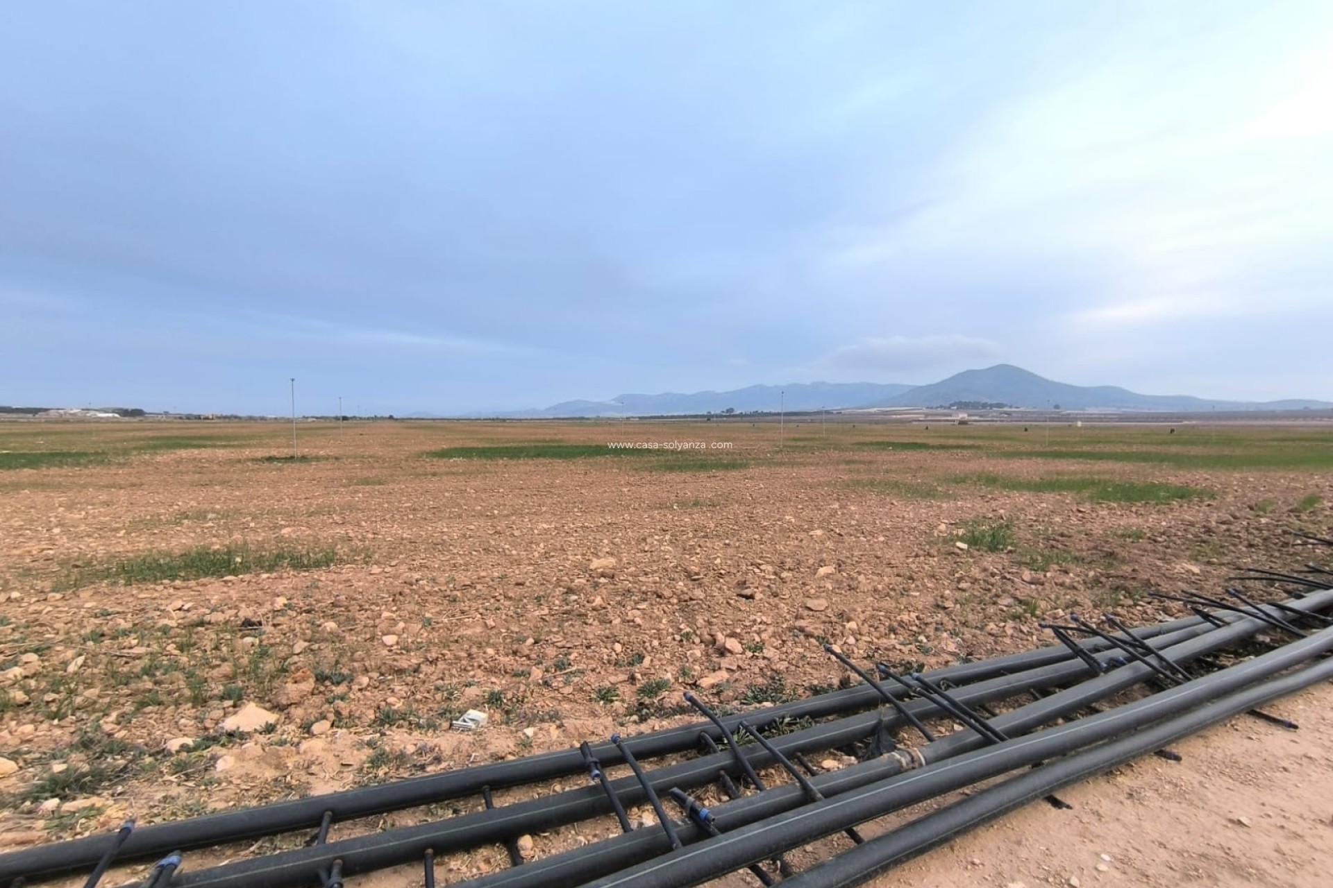 Resale - Land - Yecla - Inland