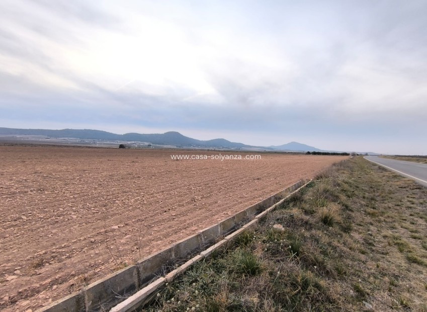 Resale - Land - Yecla - Inland