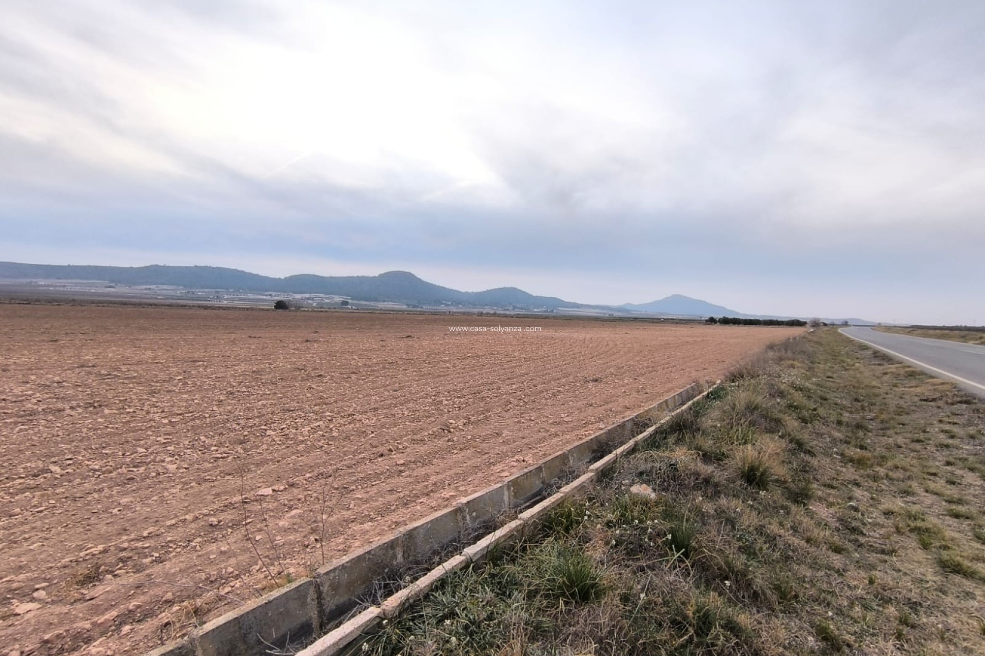Resale - Land - Yecla - Inland