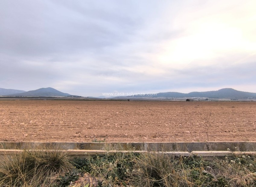 Resale - Land - Yecla - Inland