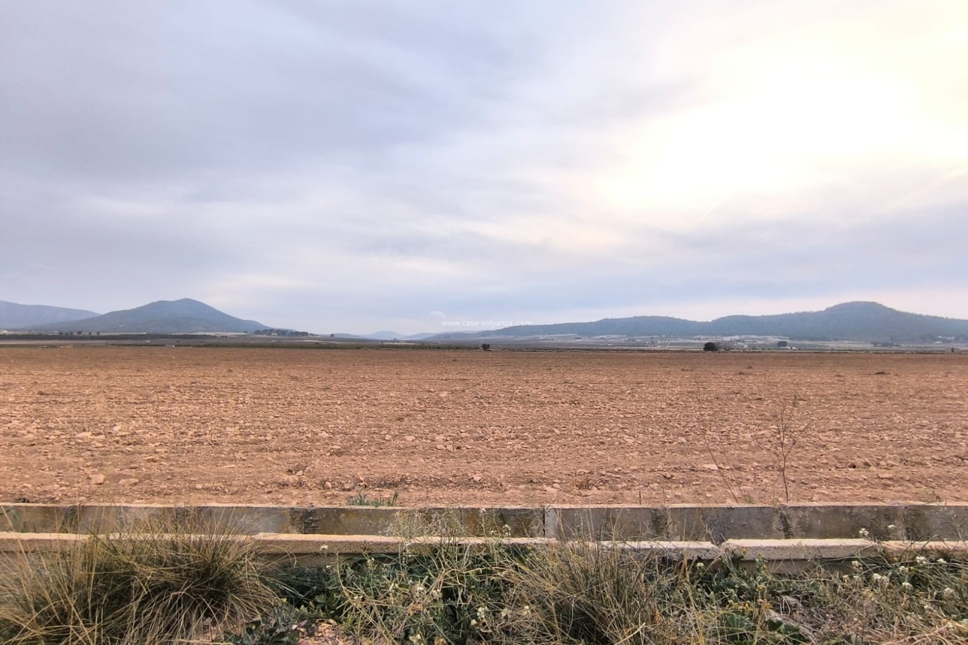Resale - Land - Yecla - Inland