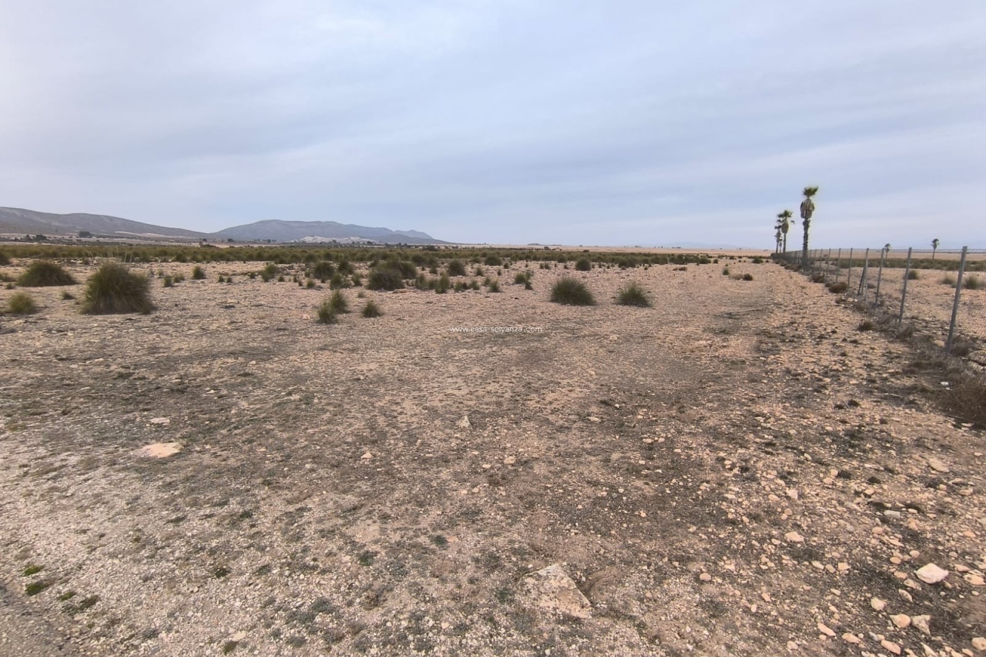 Resale - Land - Yecla - Inland