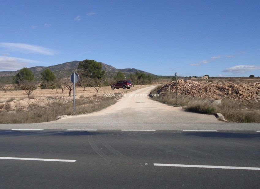Resale - Land - Yecla - Inland