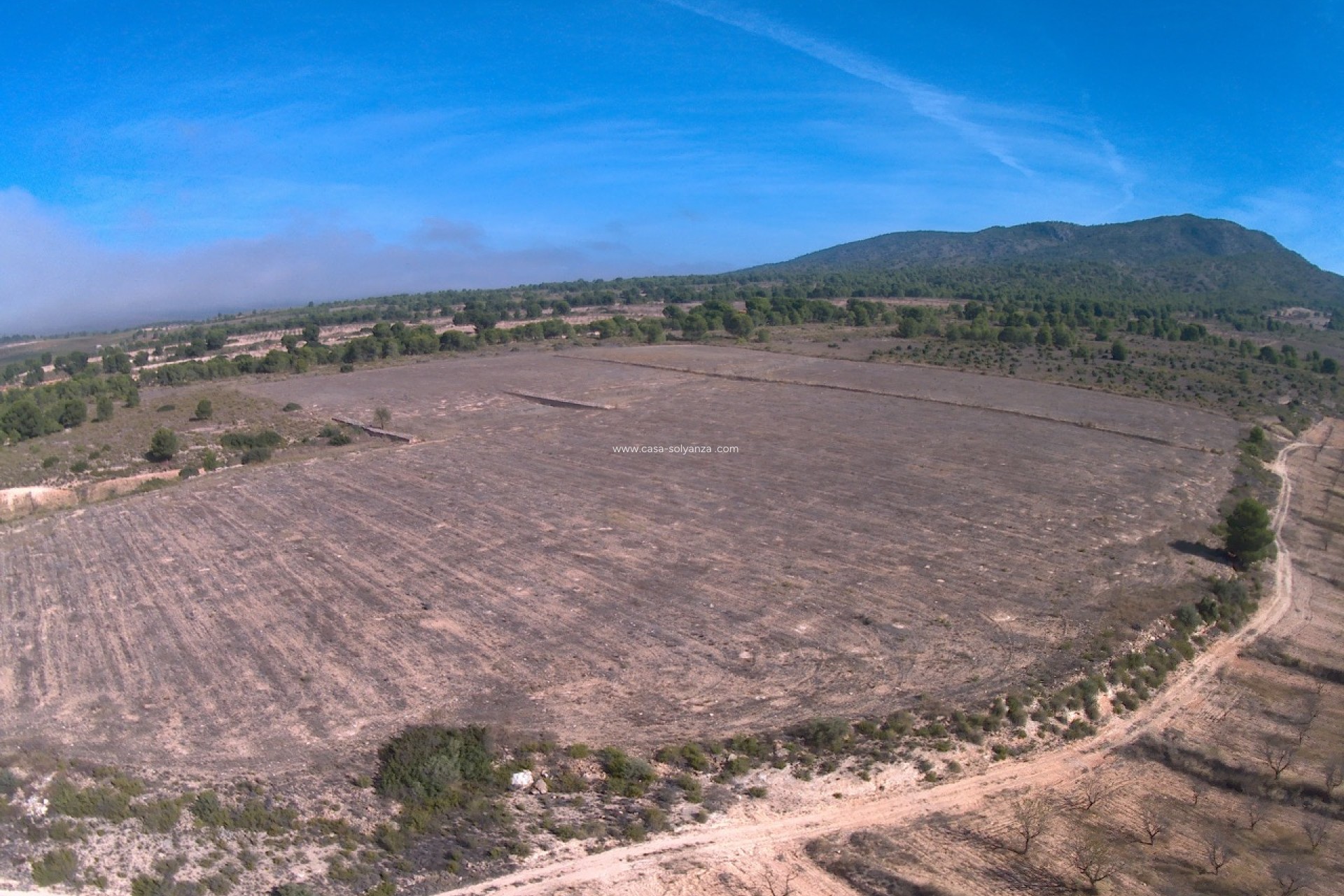 Resale - Land - Yecla - Inland