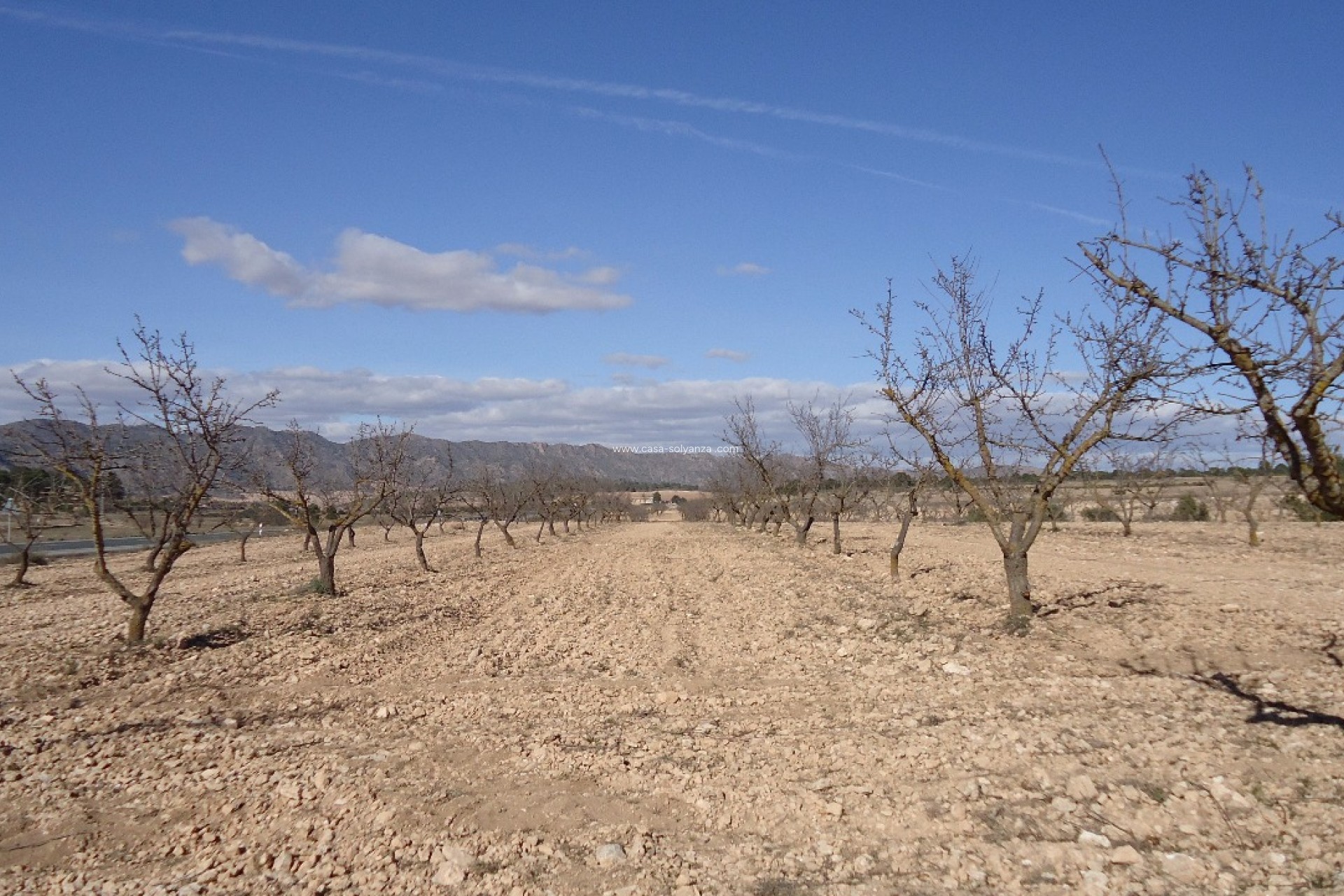 Resale - Land - Yecla - Inland