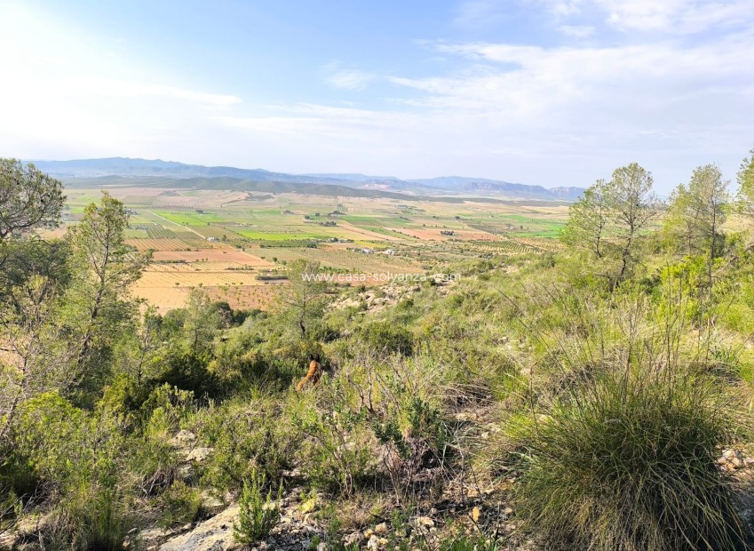 Resale - Land - Yecla - Inland