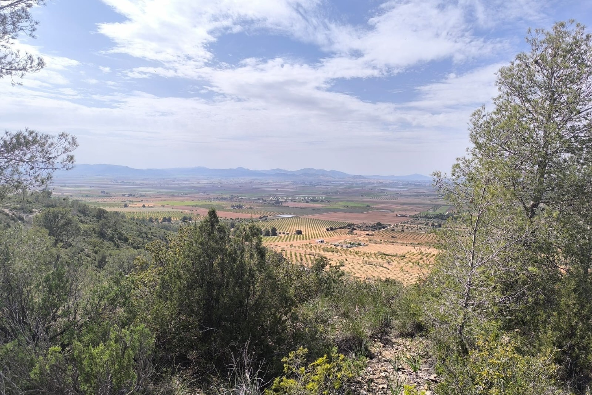 Resale - Land - Yecla - Inland