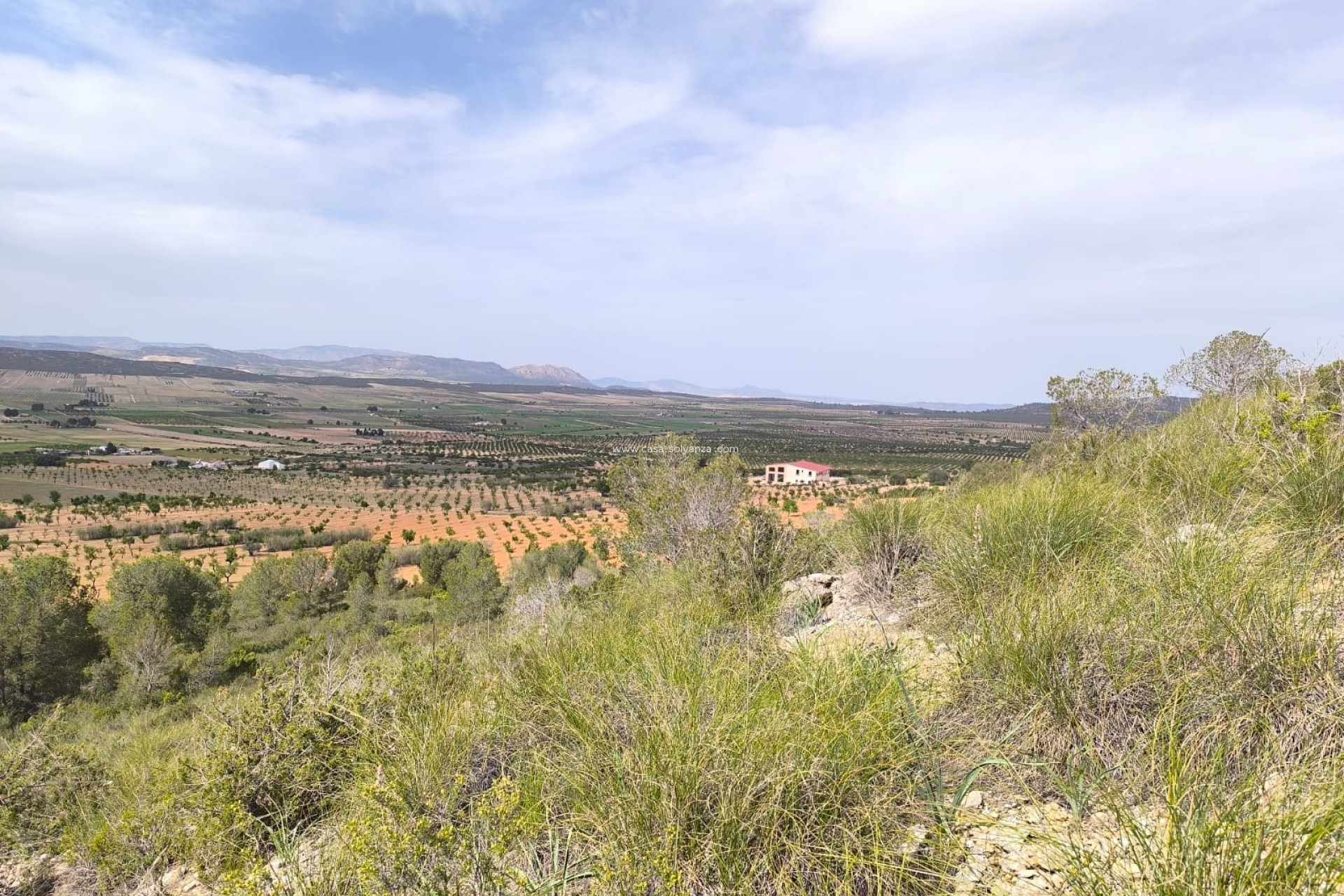 Resale - Land - Yecla - Inland