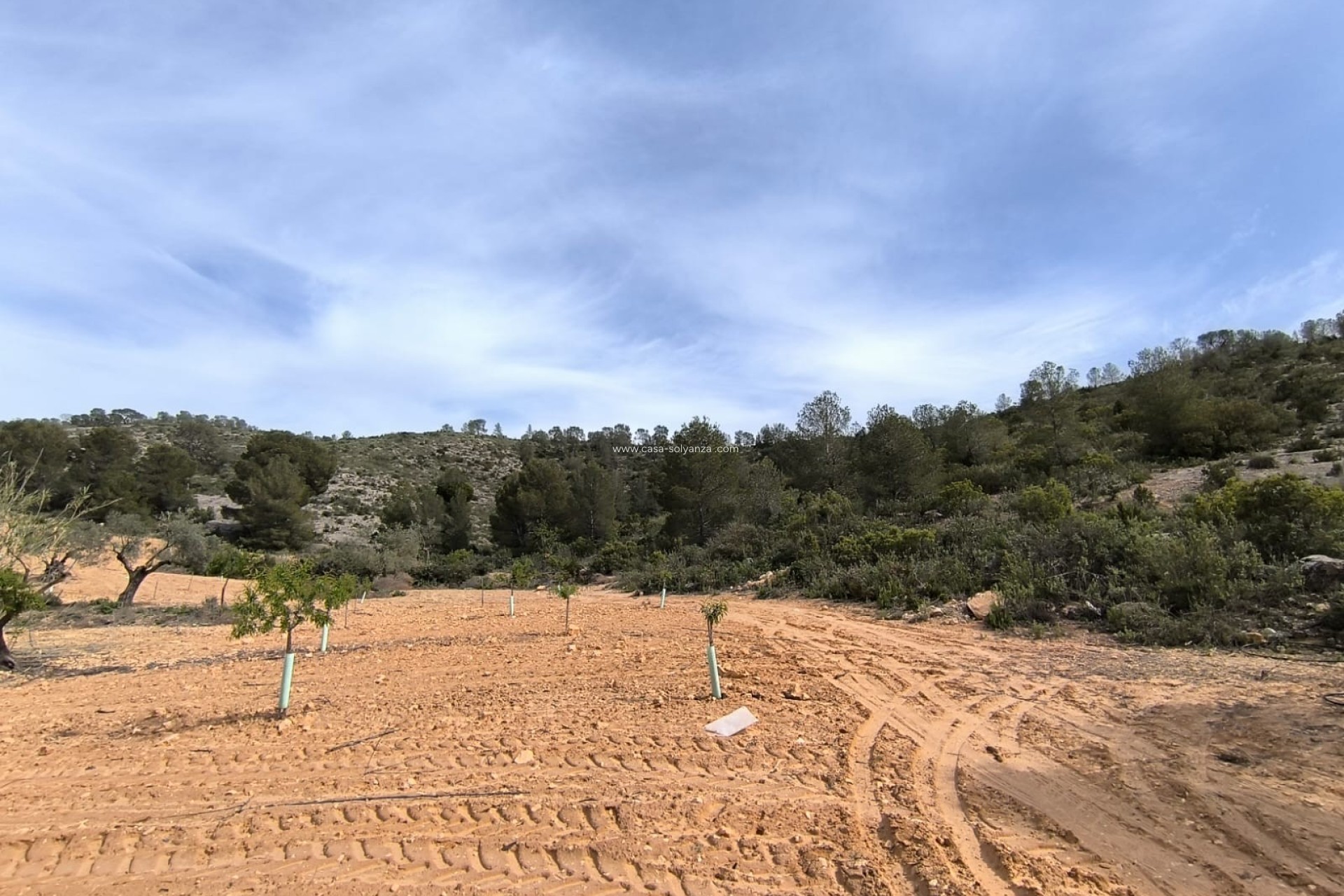 Resale - Land - Yecla - Inland