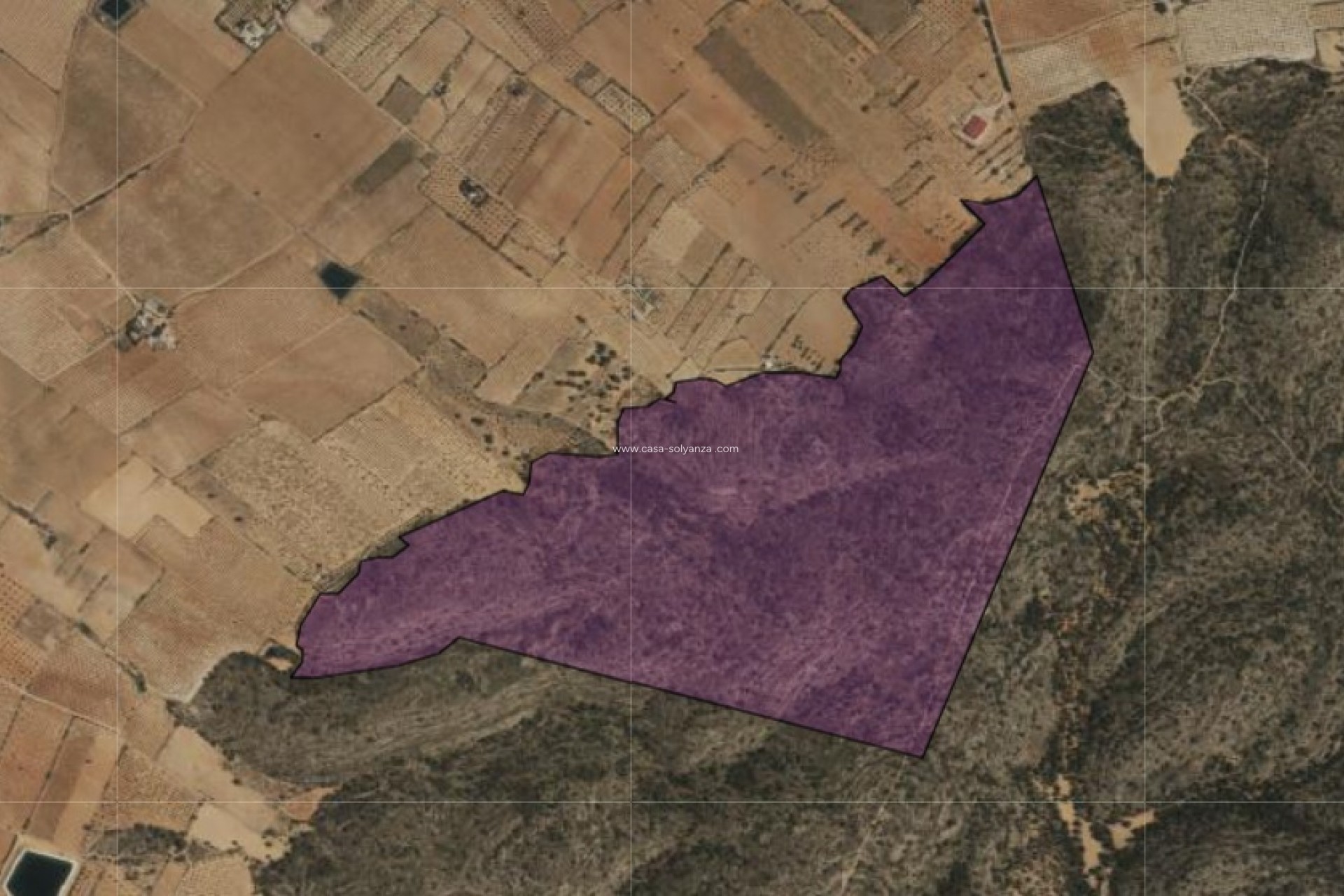 Resale - Land - Yecla - Inland