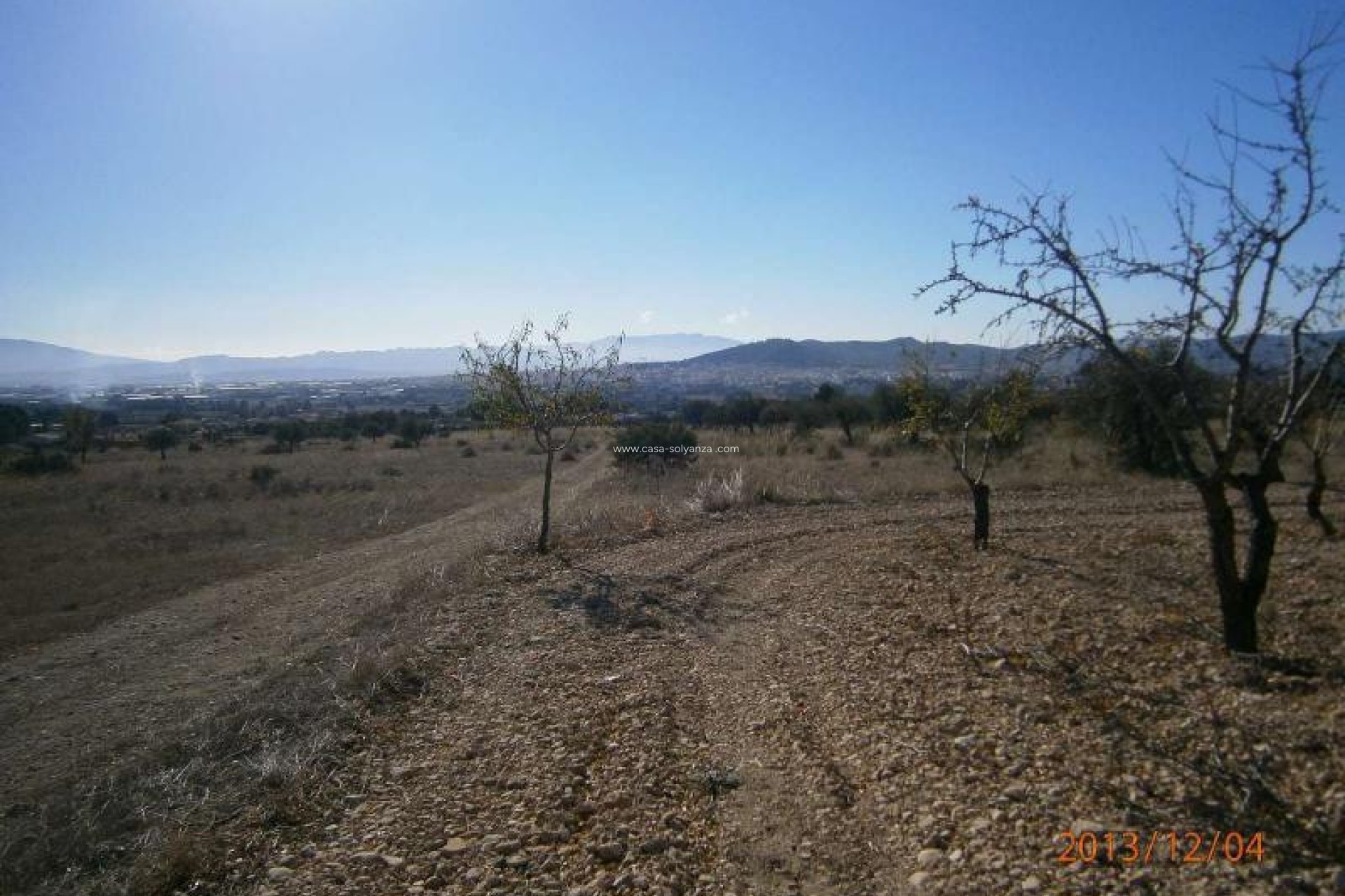 Resale - Land - Yecla - Yecla Centro