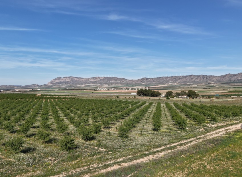 Resale - Land - Yecla - Yecla Murcia