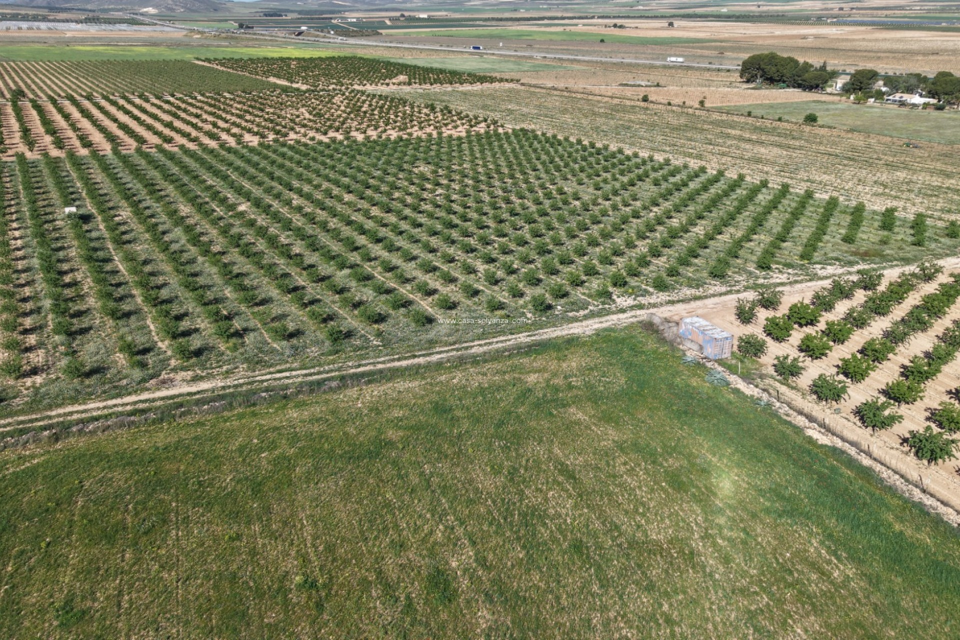 Resale - Land - Yecla - Yecla Murcia