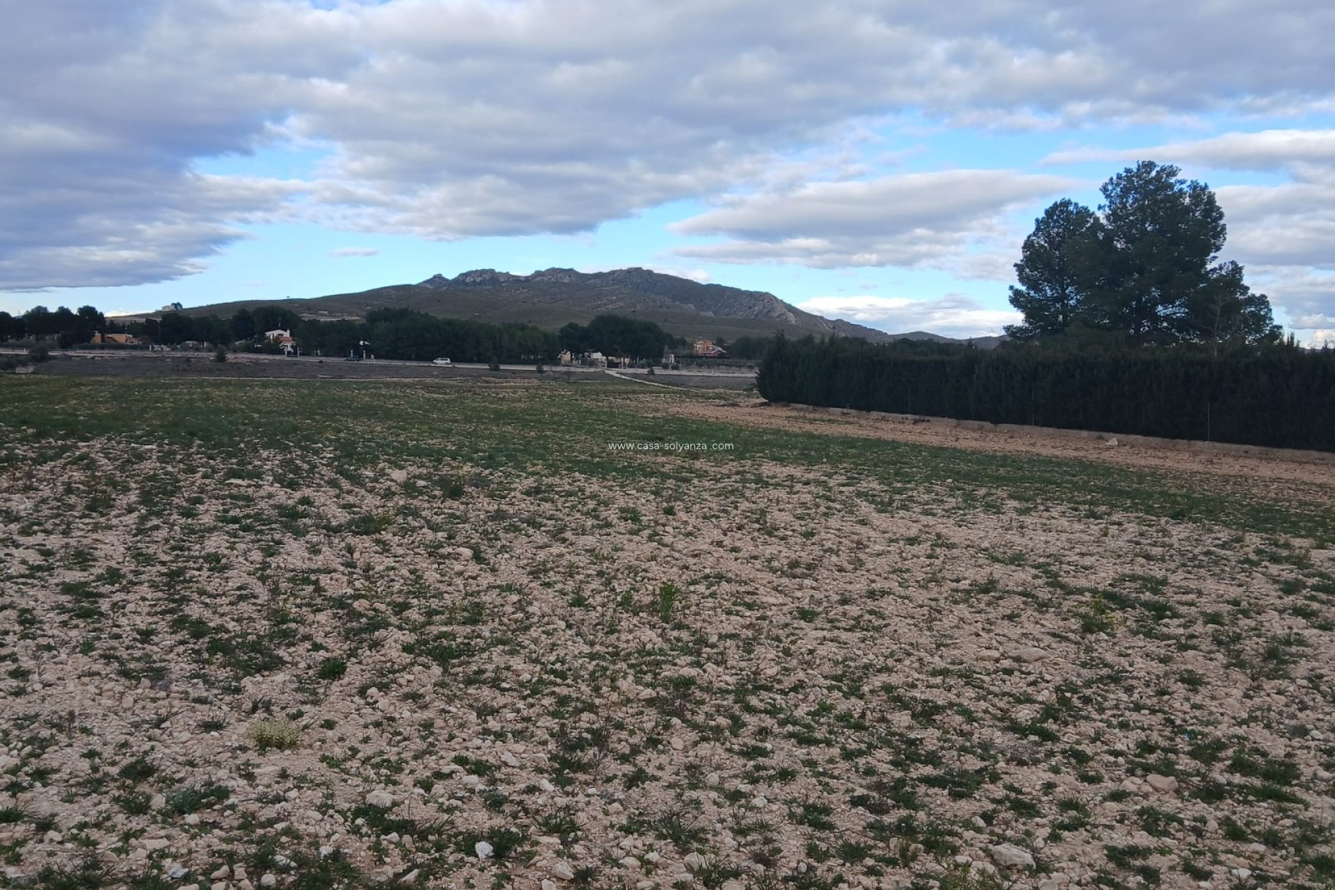 Resale - Land - Yecla