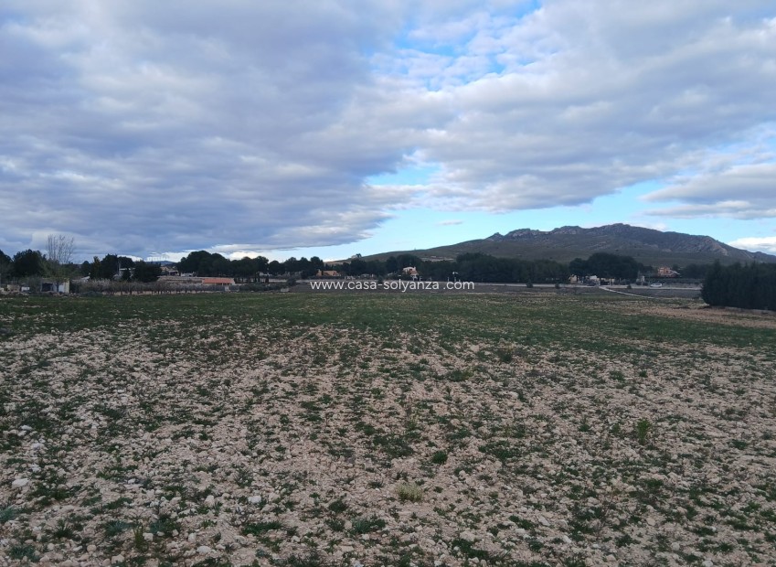 Resale - Land - Yecla