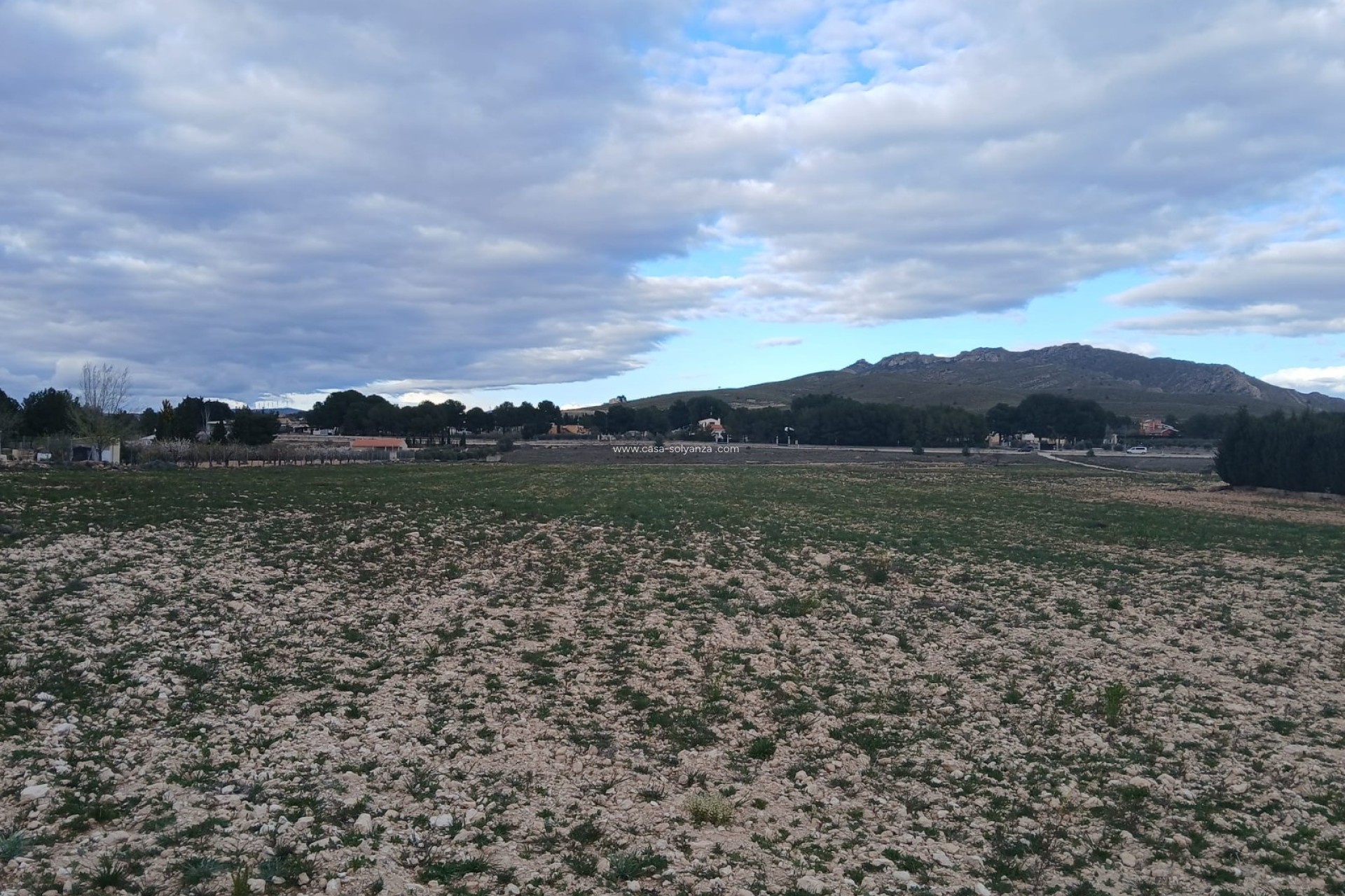 Resale - Land - Yecla