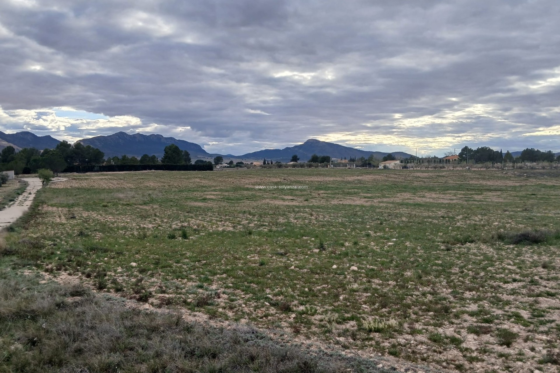 Resale - Land - Yecla