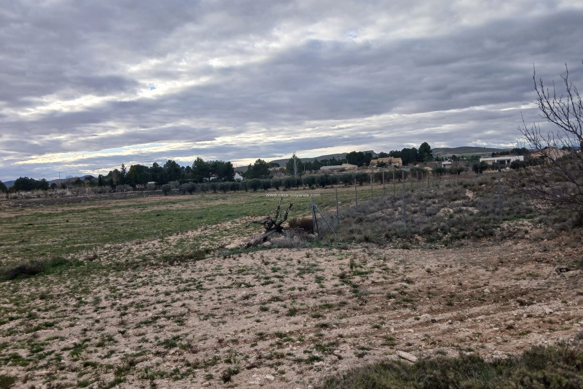 Resale - Land - Yecla