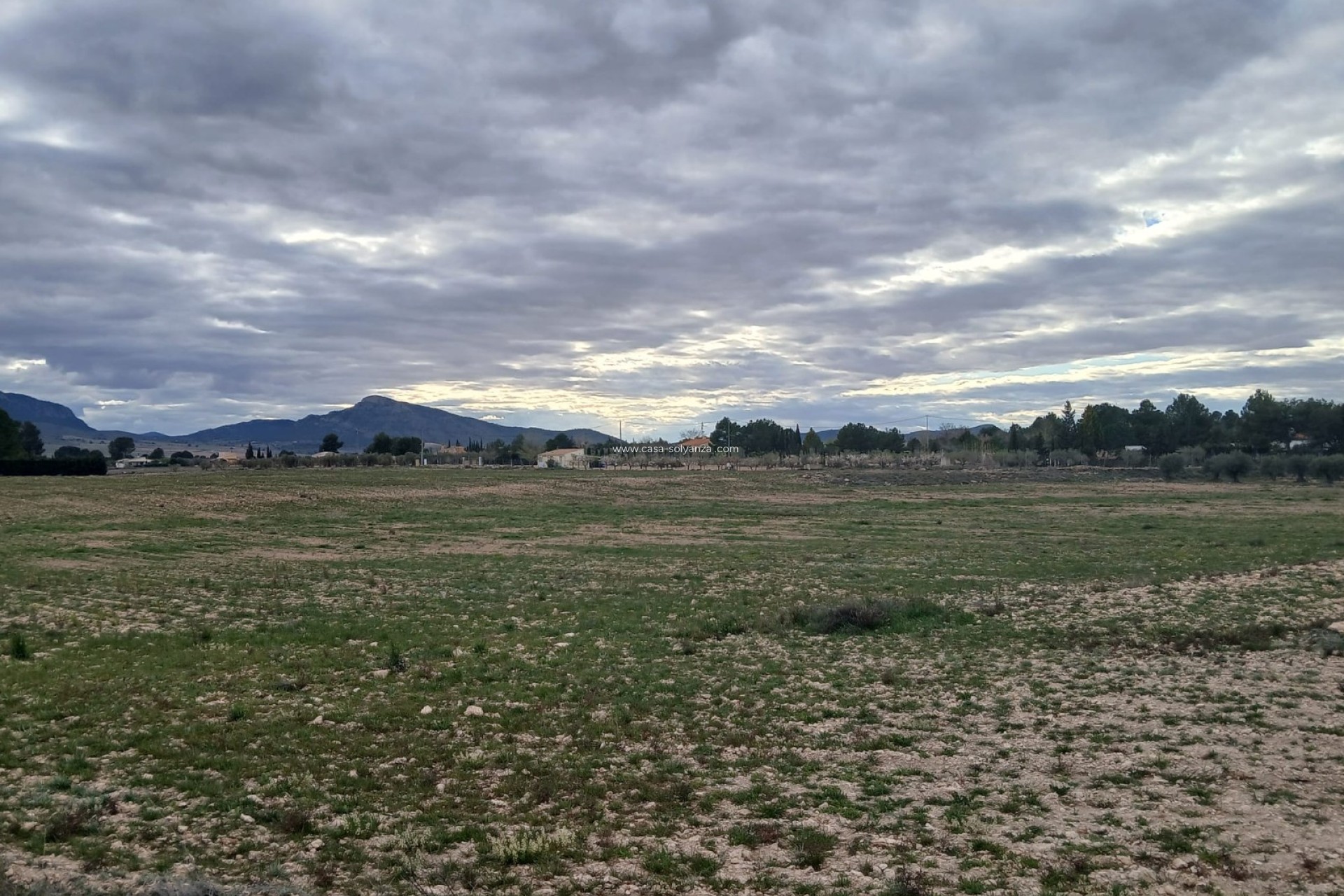 Resale - Land - Yecla