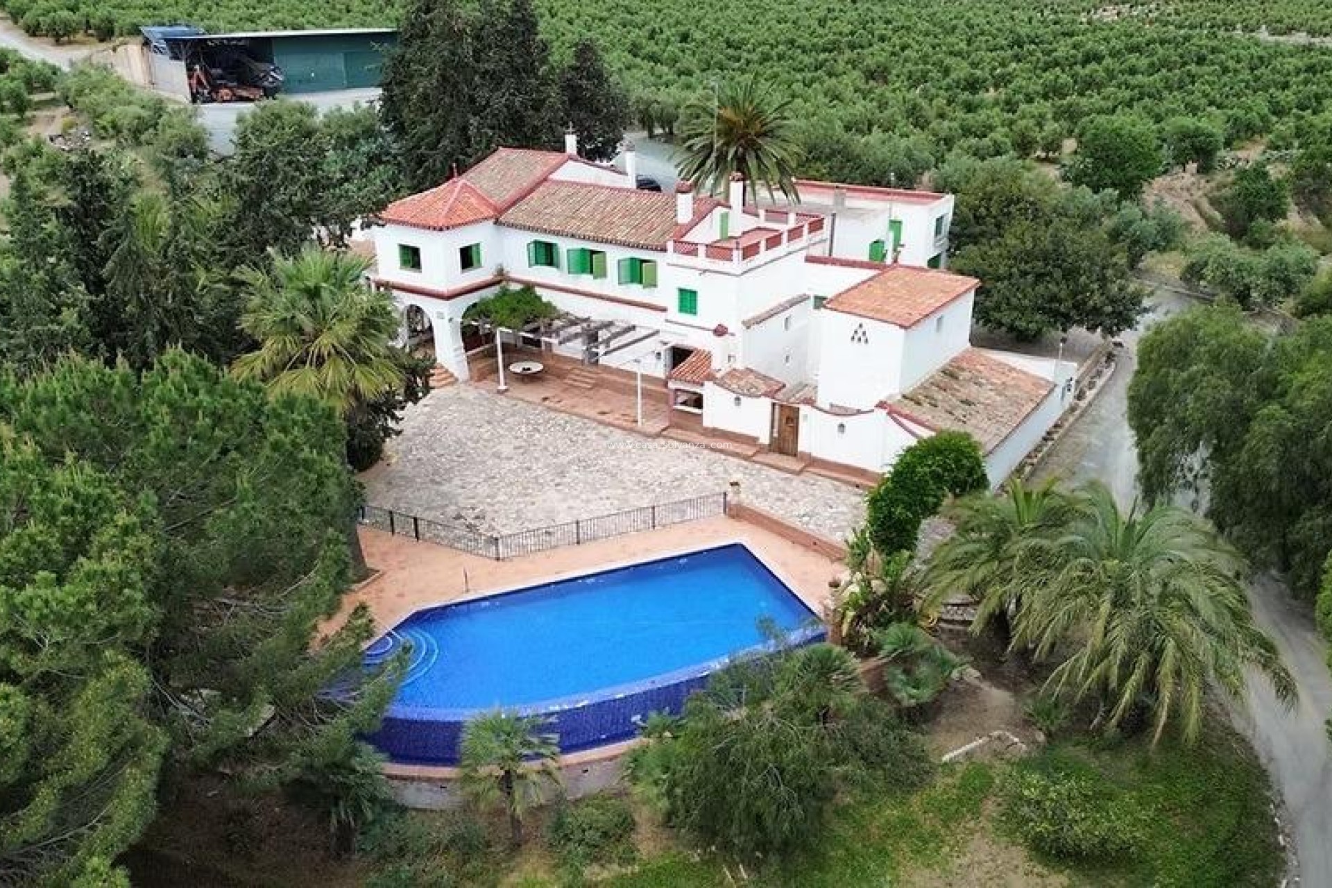 Resale - Olivar - Puerto Lumbreras - Nogalte