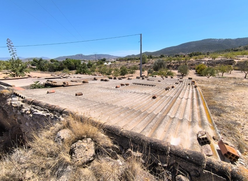 Resale - Other - Chinorlet - Inland