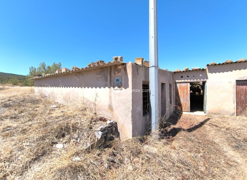 Resale - Other - Chinorlet - Inland