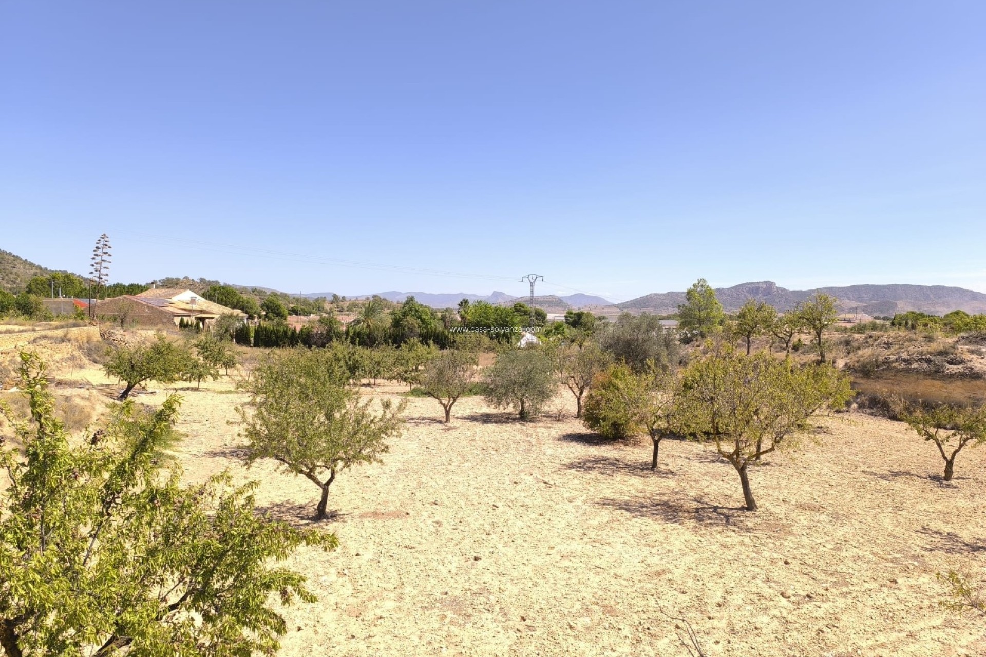 Resale - Other - Chinorlet - Inland