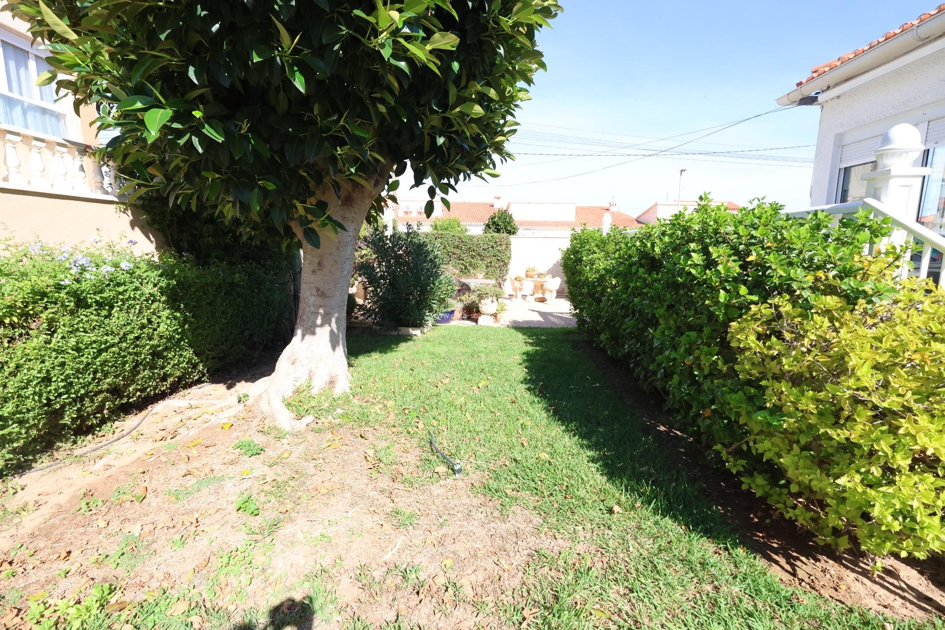 Resale - Semi-detached house - Torrevieja - Punta Prima
