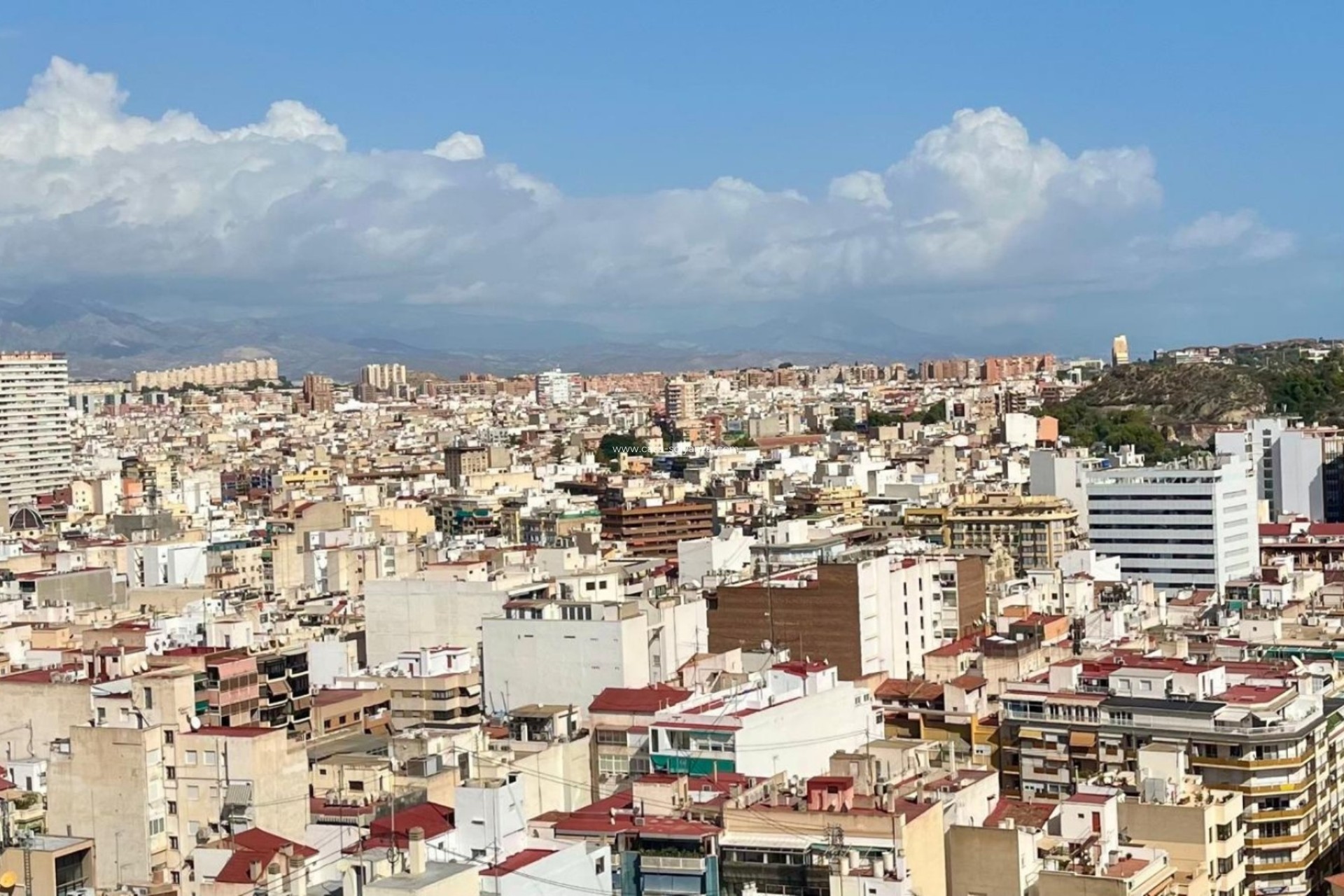 Resale - Studio - Alicante - Centro