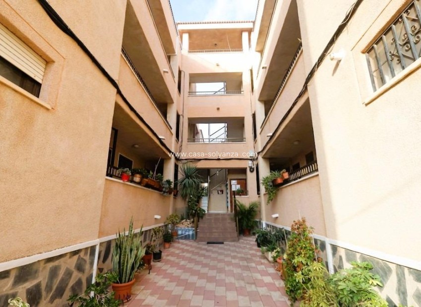 Resale - Studio - Torrevieja - La Siesta