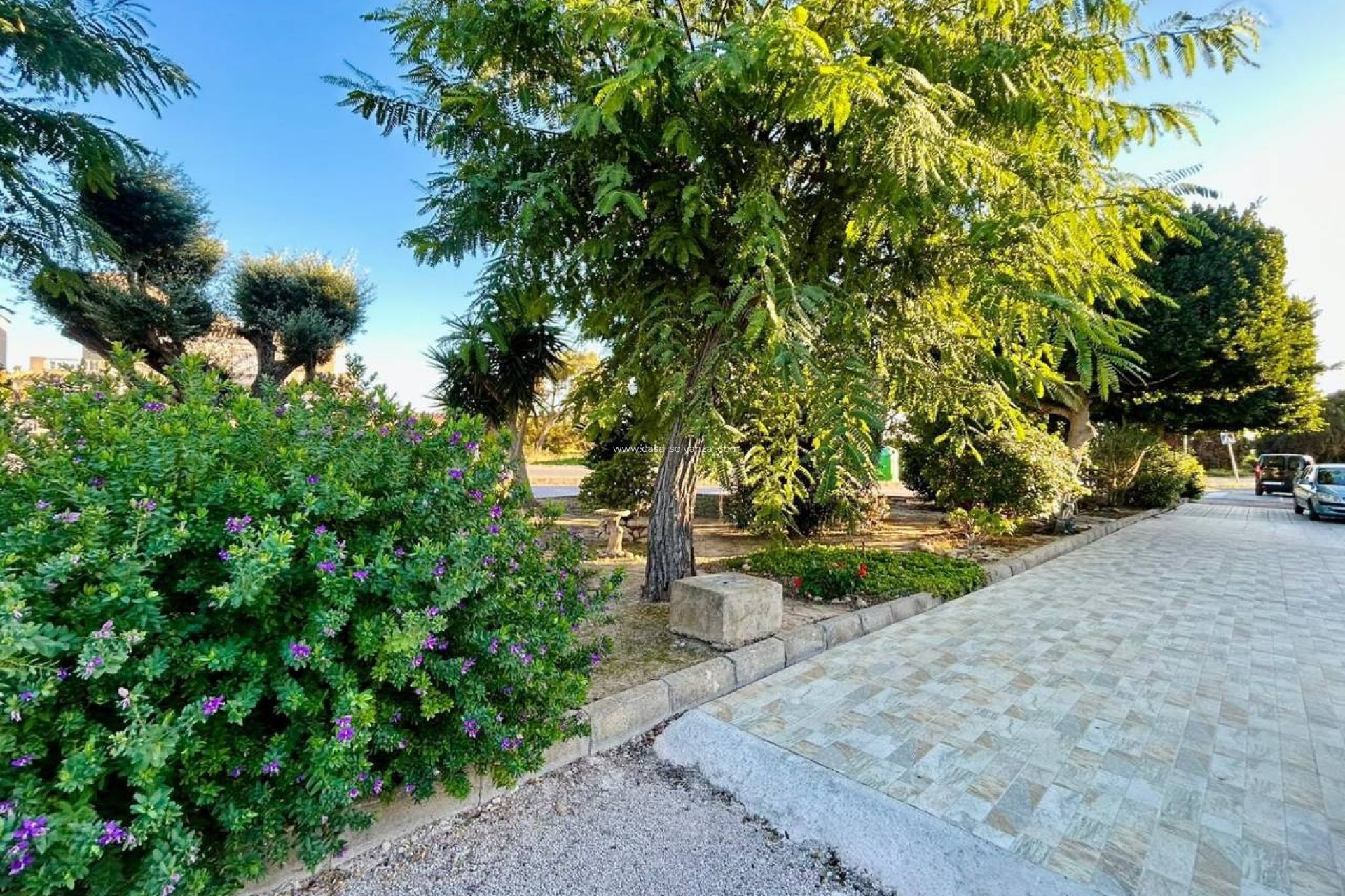 Resale - terraced_house - Torrevieja - El chaparral