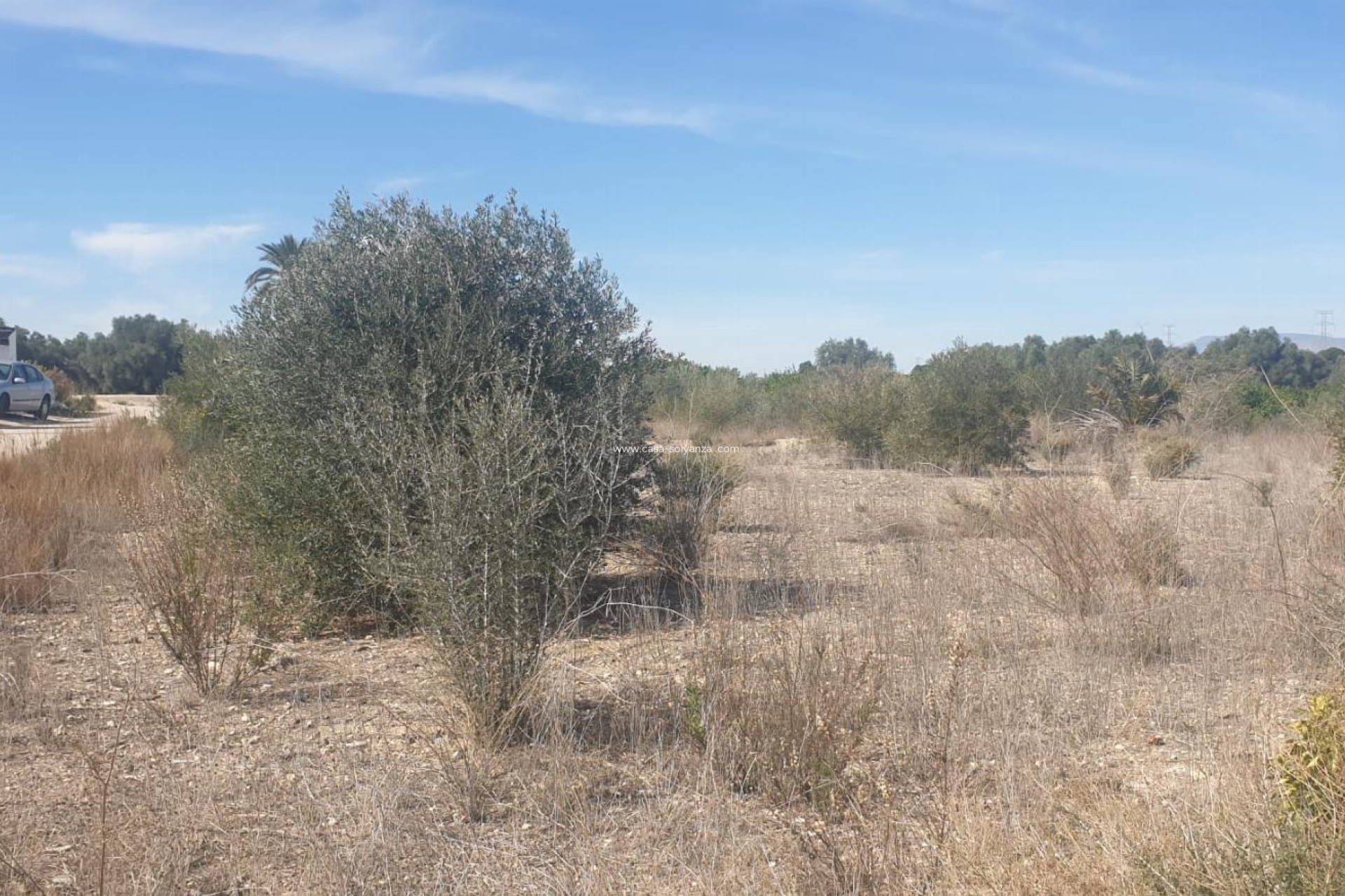 Resale - Terreno - Benferri - HUERTA PUEBLO