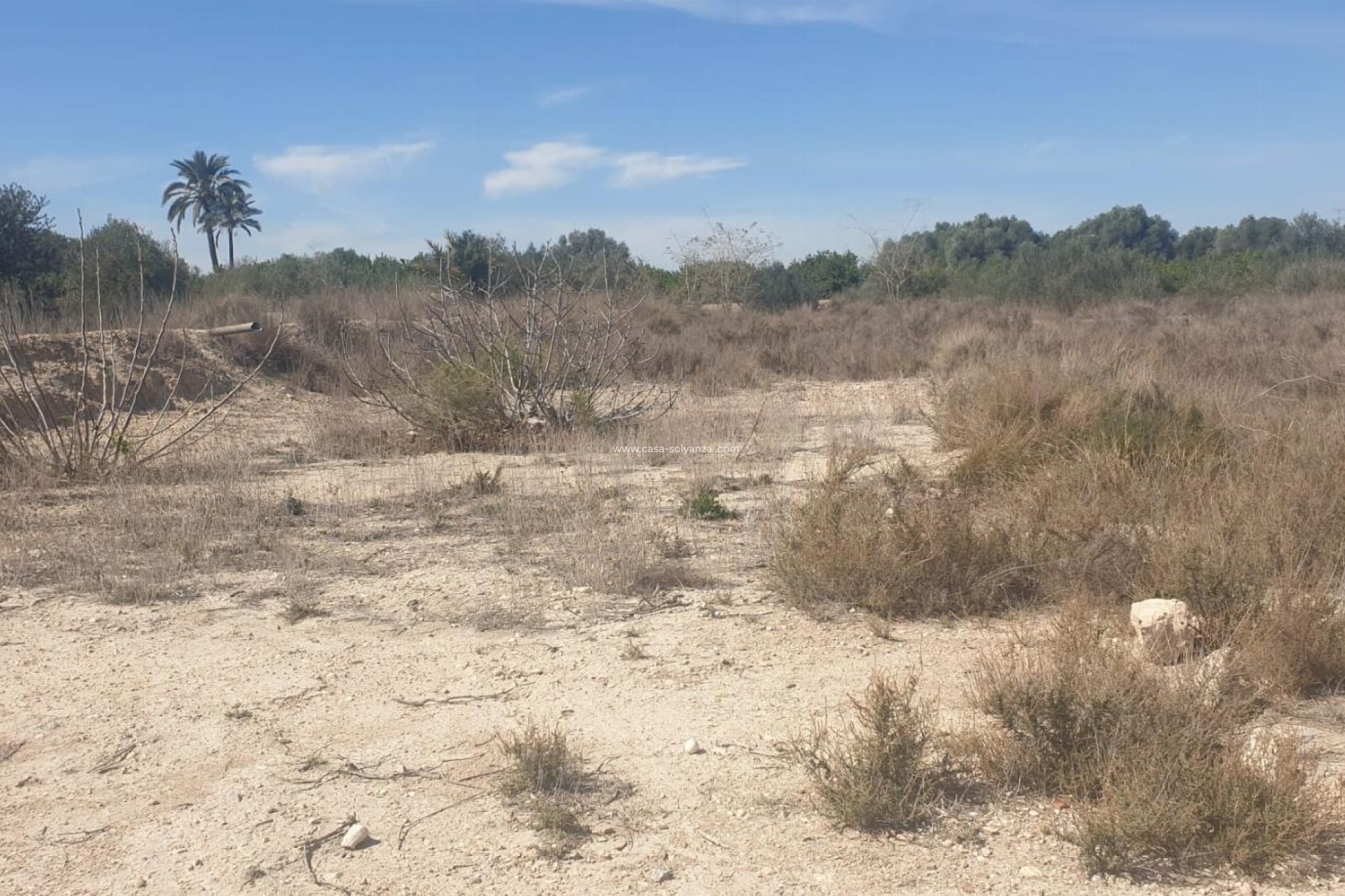 Resale - Terreno - Benferri - HUERTA PUEBLO