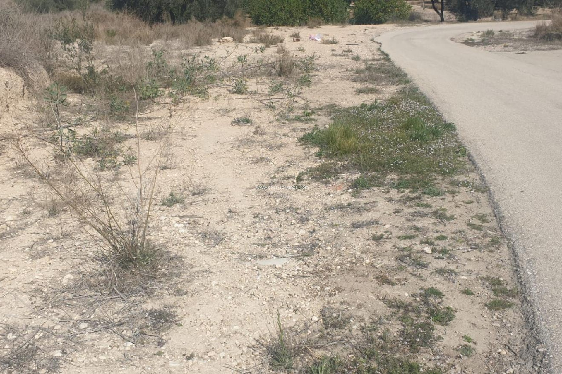 Resale - Terreno - Benferri - HUERTA PUEBLO