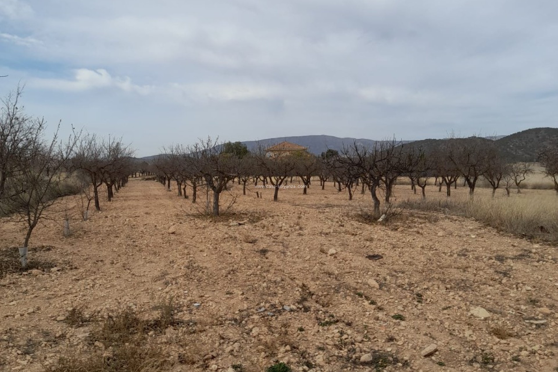 Resale - Townhouse - Casas del Señor - Inland
