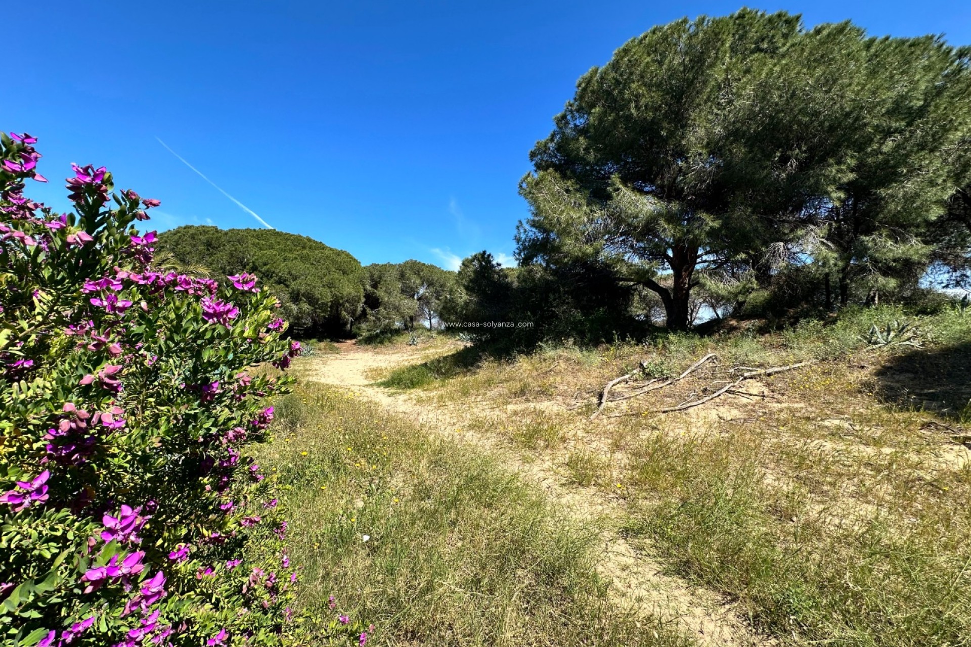 Resale - Townhouse - Guardamar del Segura - Costa Blanca