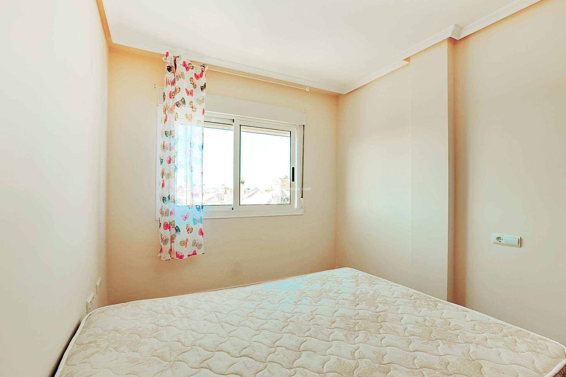 Resale - Townhouse - Los Montesinos - La Herrada