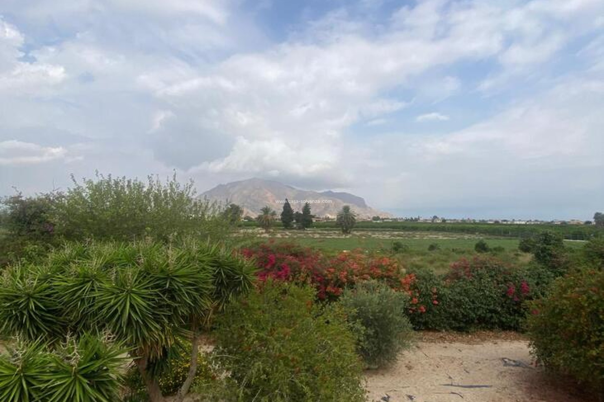 Resale - Townhouse - Orihuela - Inland