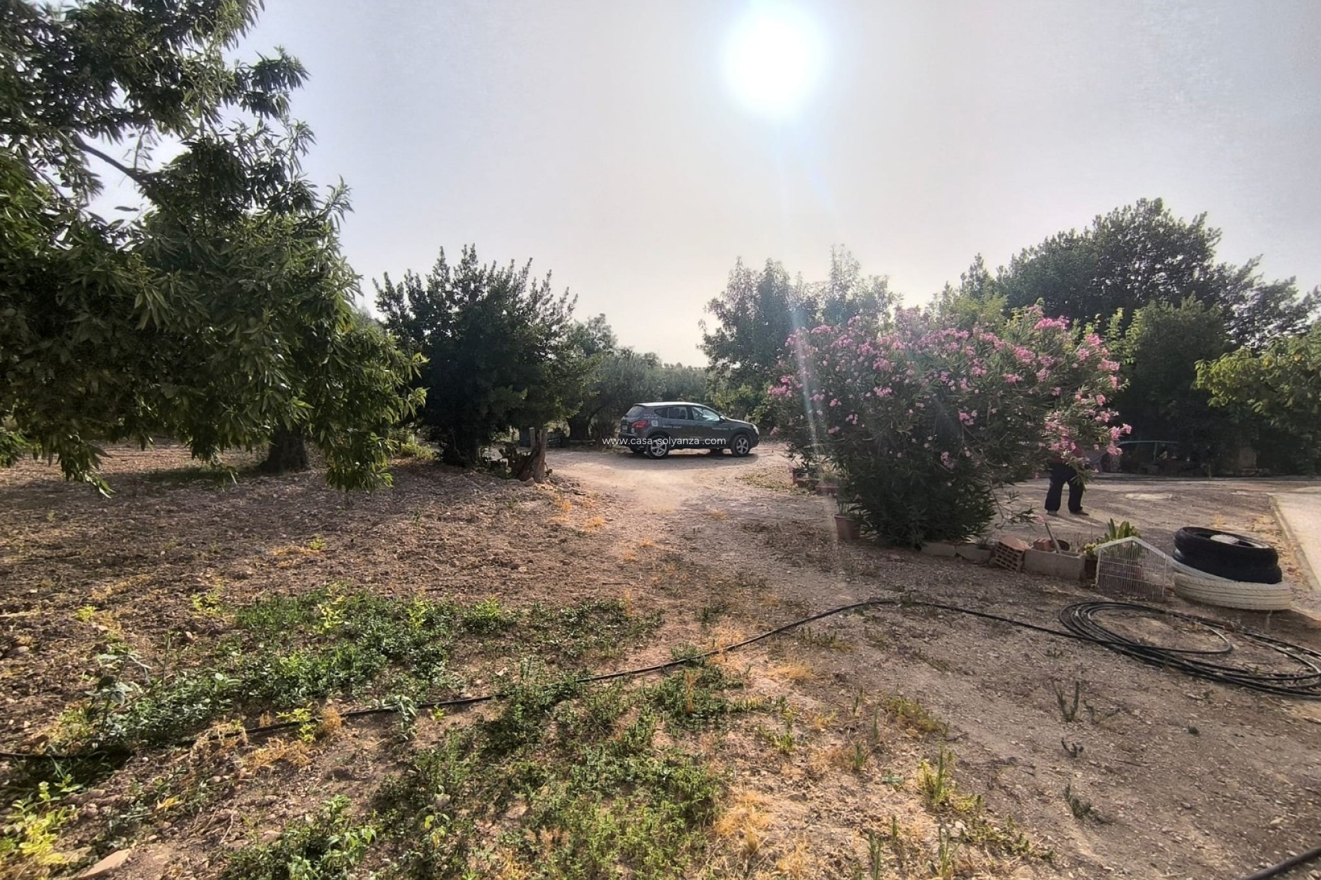 Resale - Townhouse - Pinoso - Inland