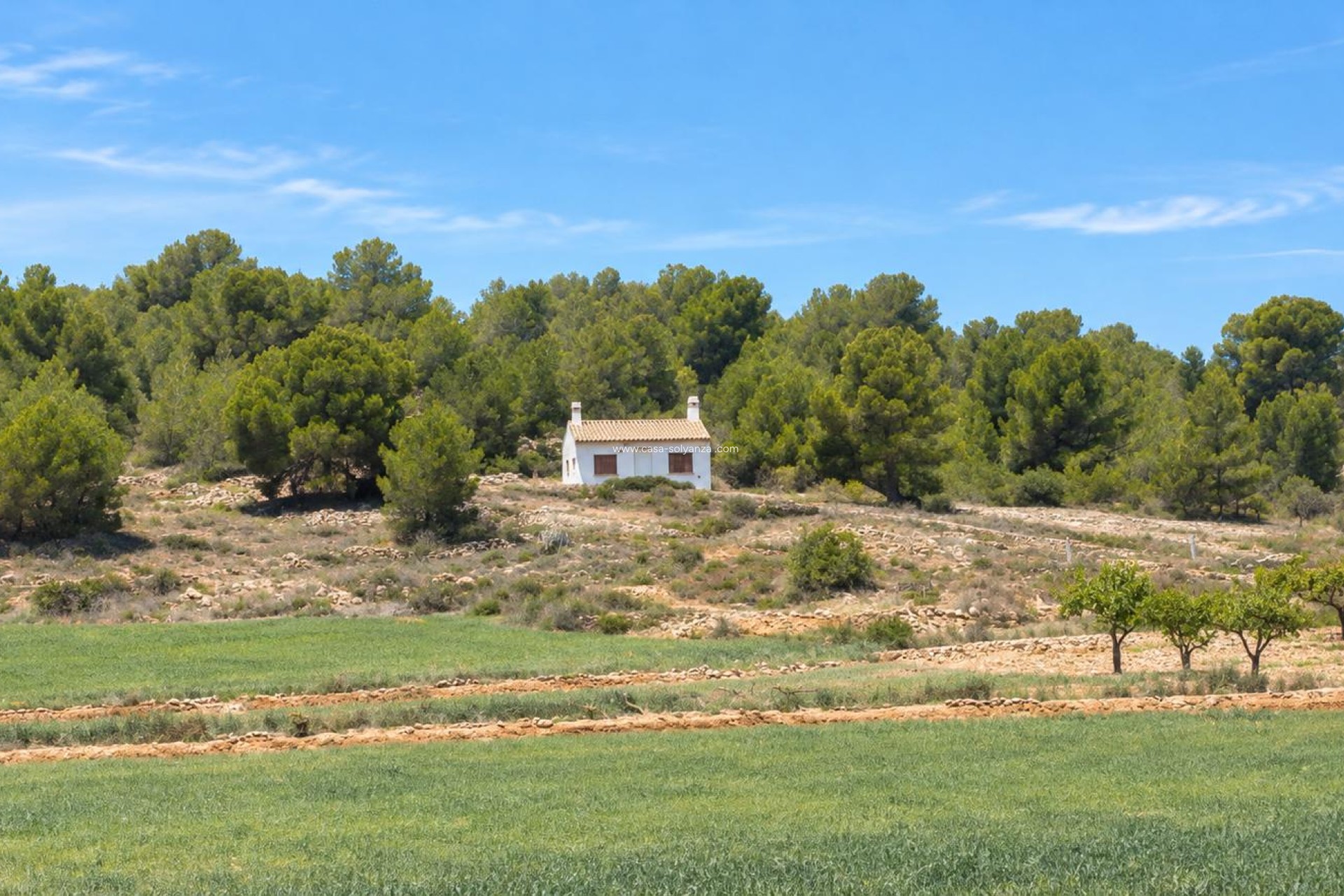 Resale - Townhouse - Pinoso - Inland