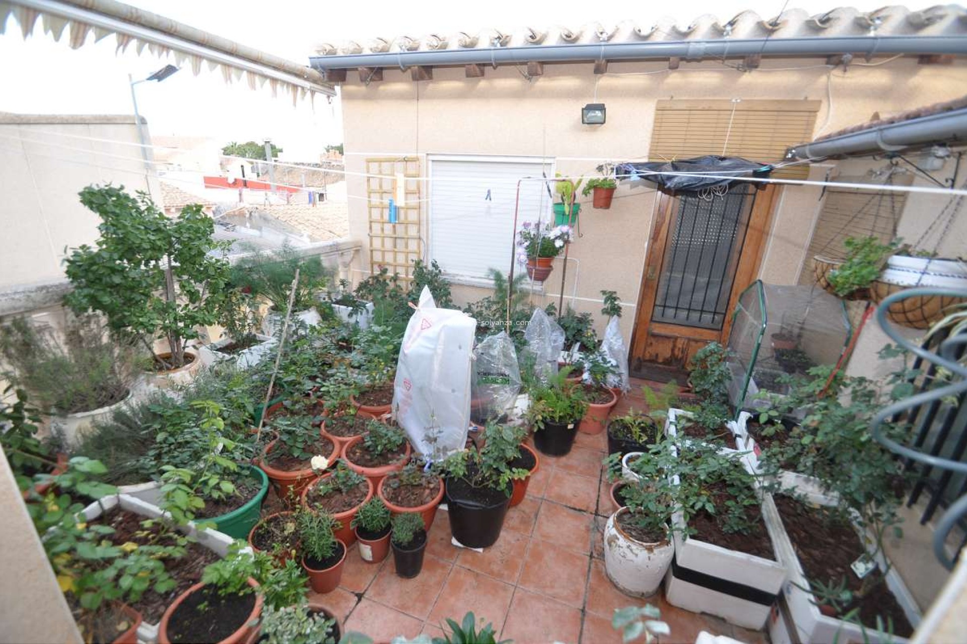 Resale - Townhouse - Pinoso - Inland