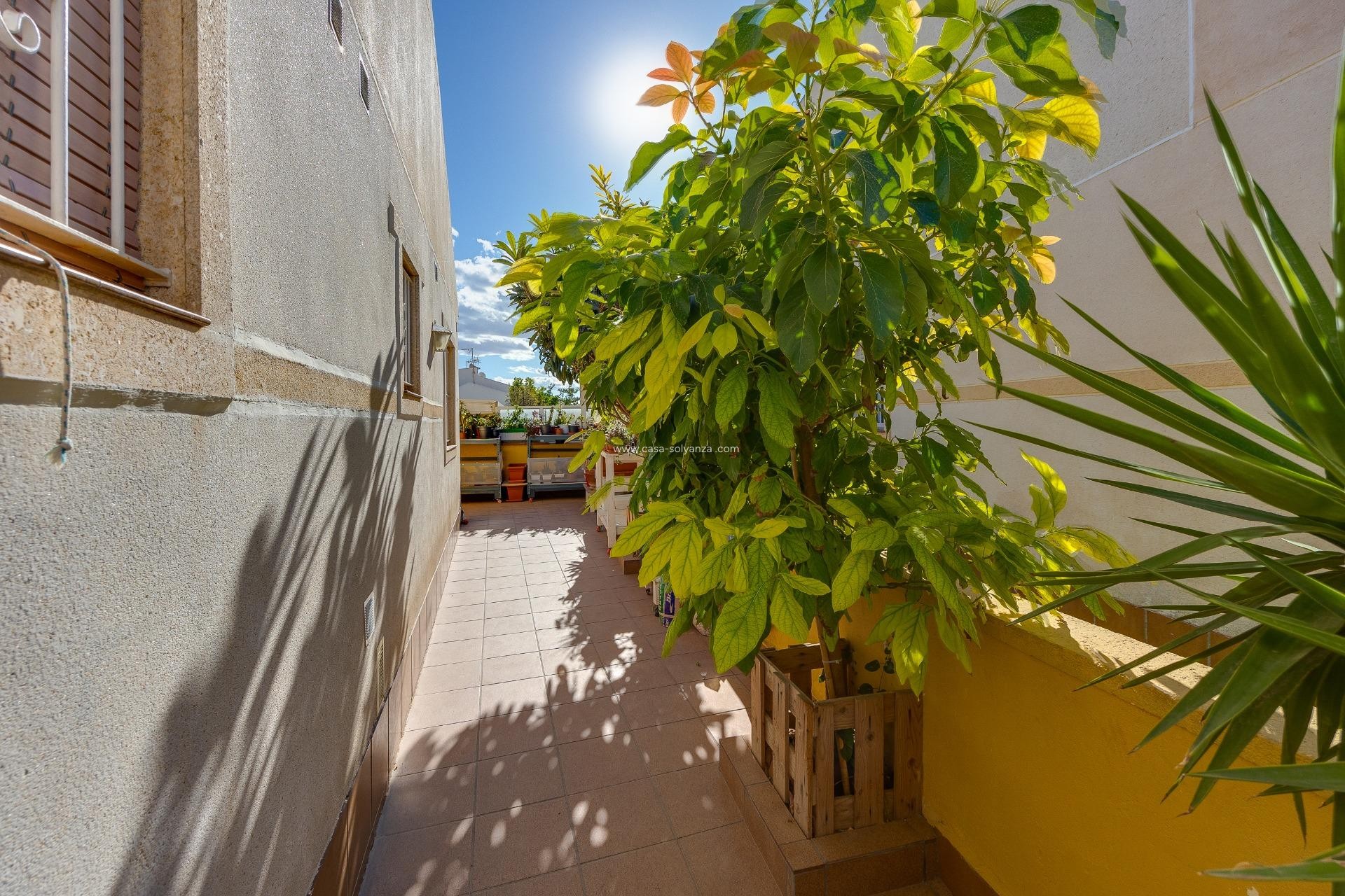 Resale - Townhouse - Torrevieja - Aguas nuevas
