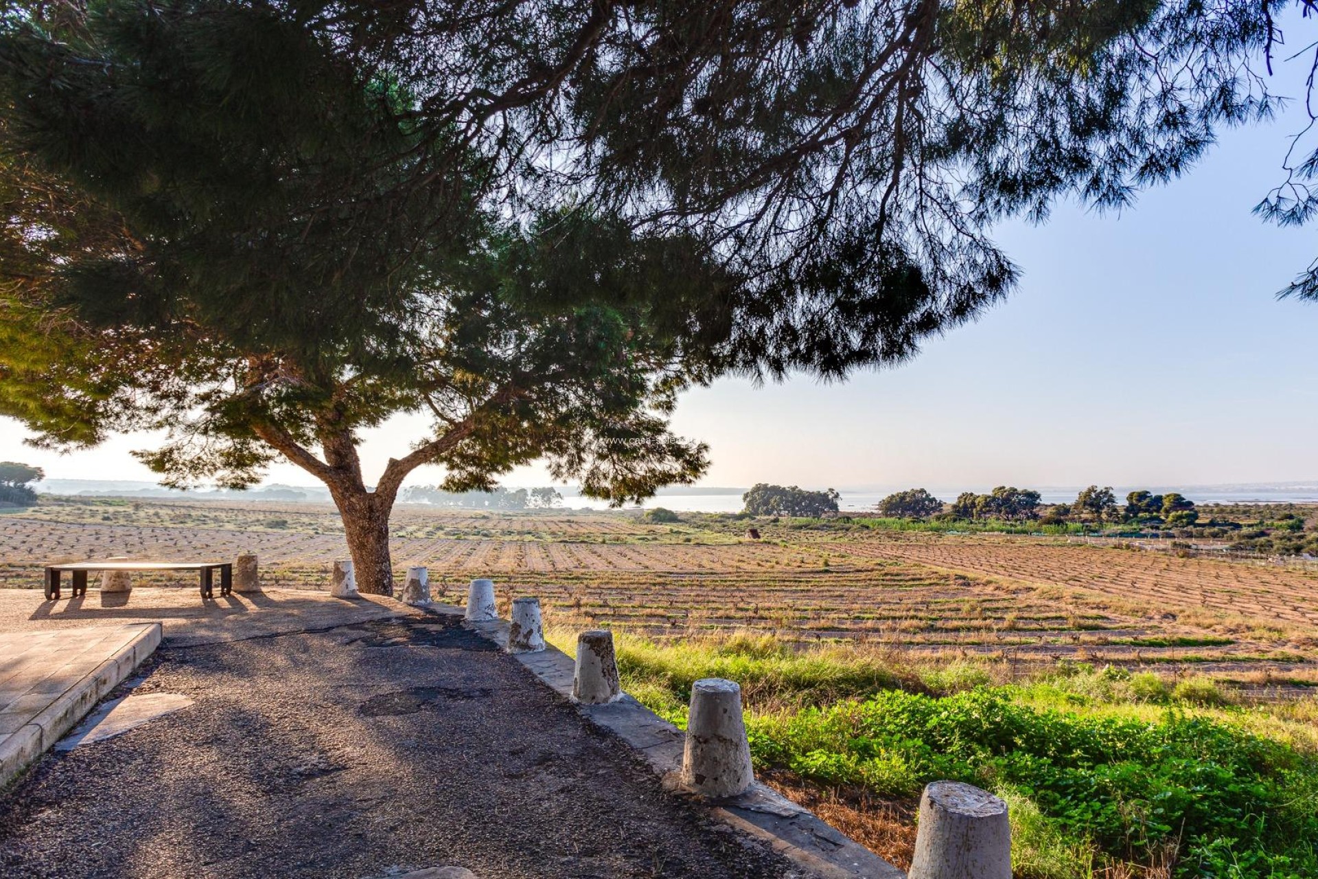 Resale - Townhouse - Torrevieja - El Limonar
