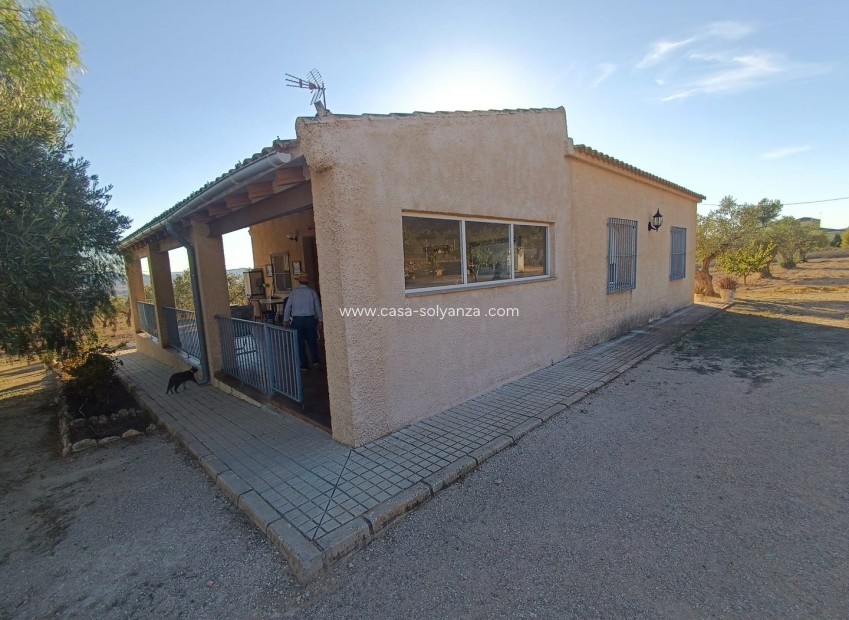 Resale - Townhouse - Yecla - Inland
