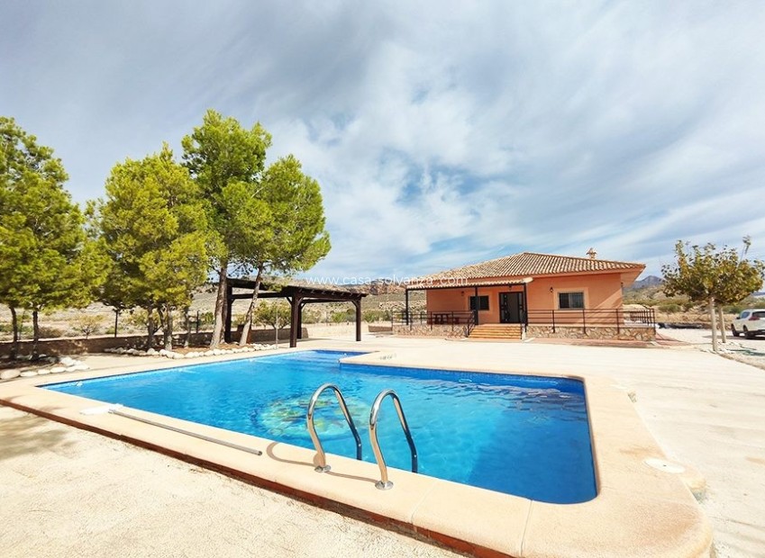Resale - Villa - Abanilla - Inland