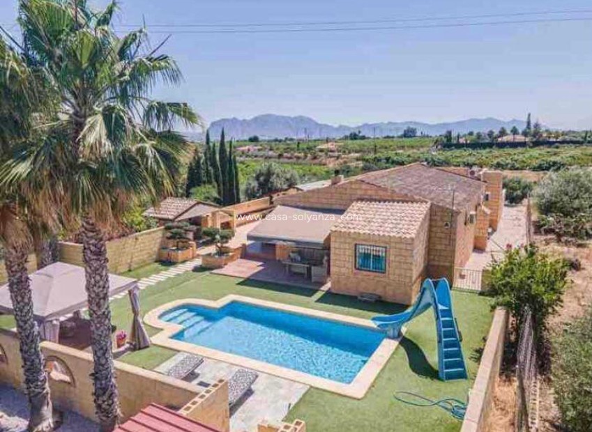 Resale - Villa - Albatera - Campo De Albatera